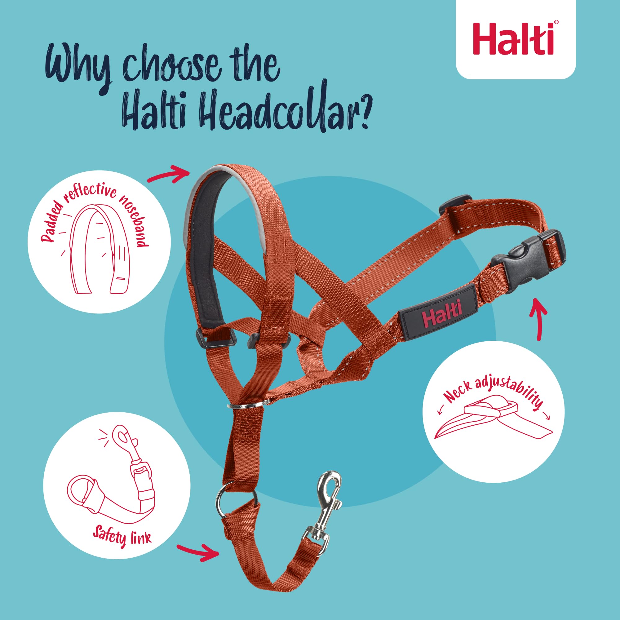 Halti Headcollar - Stops Pulling for Dogs | Size 3, Burnt Orange, Reflective 3