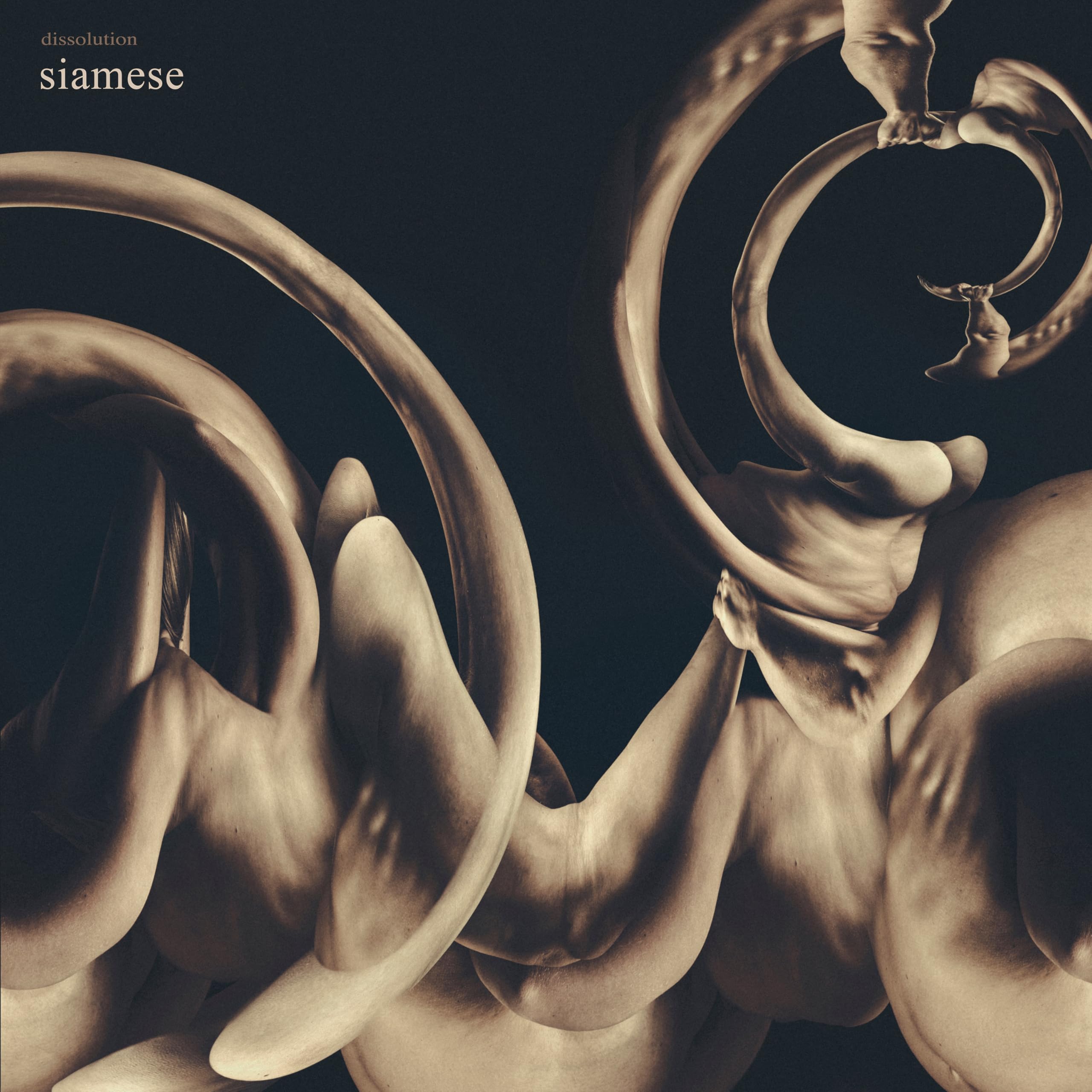Siamese - dissolution [Audio CD]