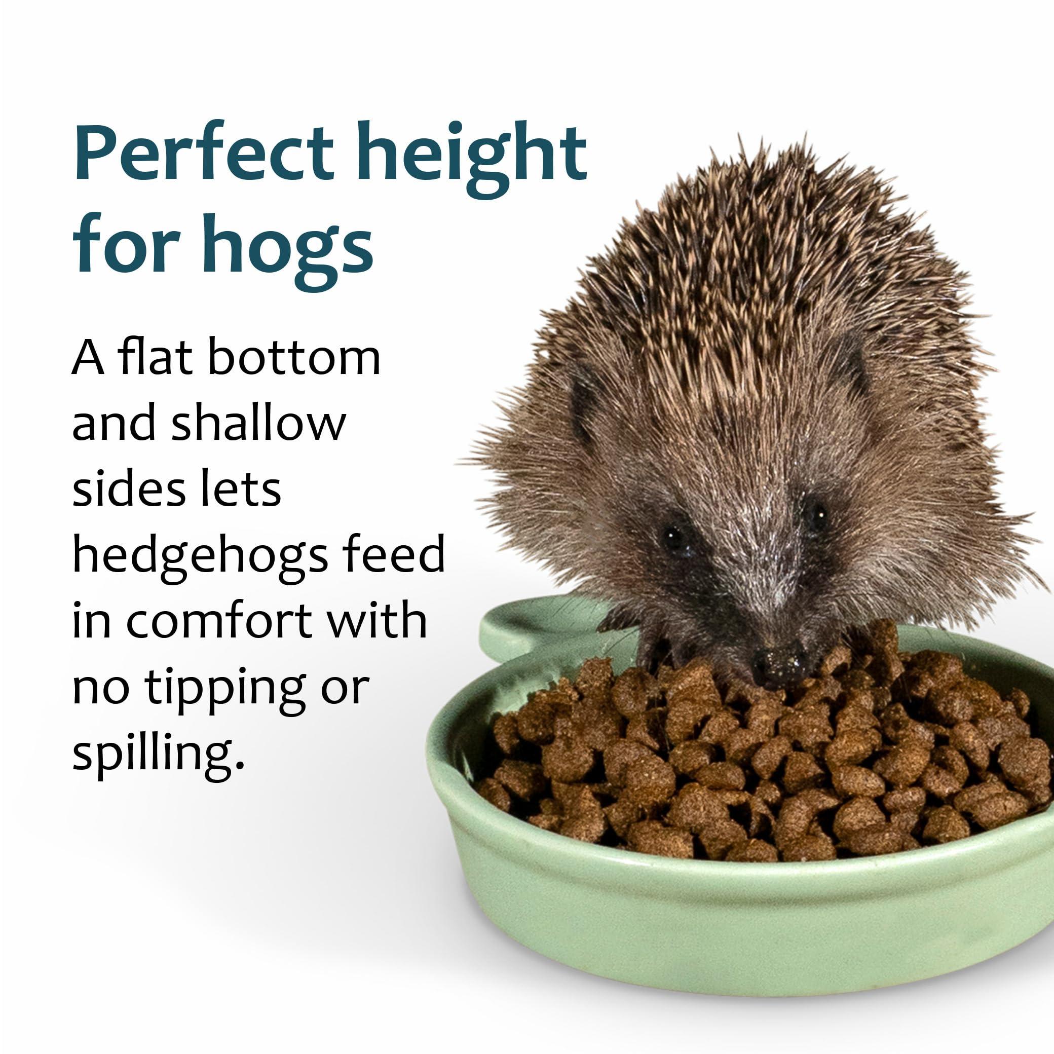 Jacobi Jayne Ceramic Hedgehog Food Bowl - Pastel Green Glaze | Weather-Resistant | 125mm 3