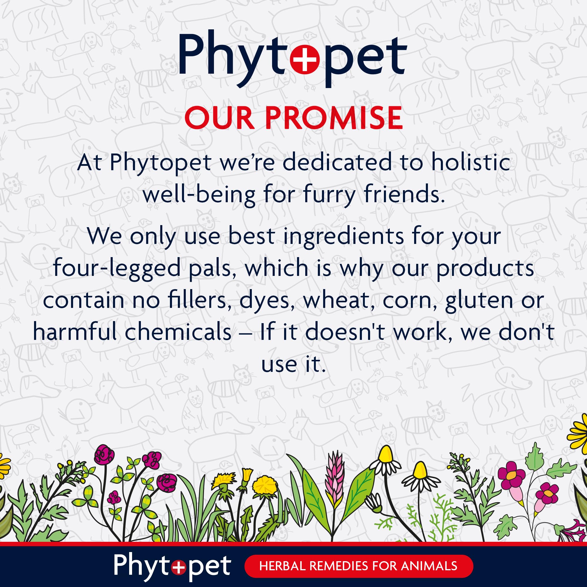 Phytopet Dry Herbal Supplement - Urinary Tract Support | 100ml Liquid 7
