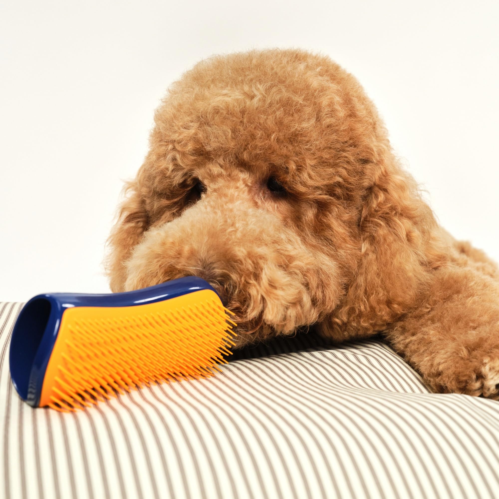 Pet Teezer Detangling Dog Grooming Brush - Navy & Orange, Size L | Lightweight Nylon Plastic 7