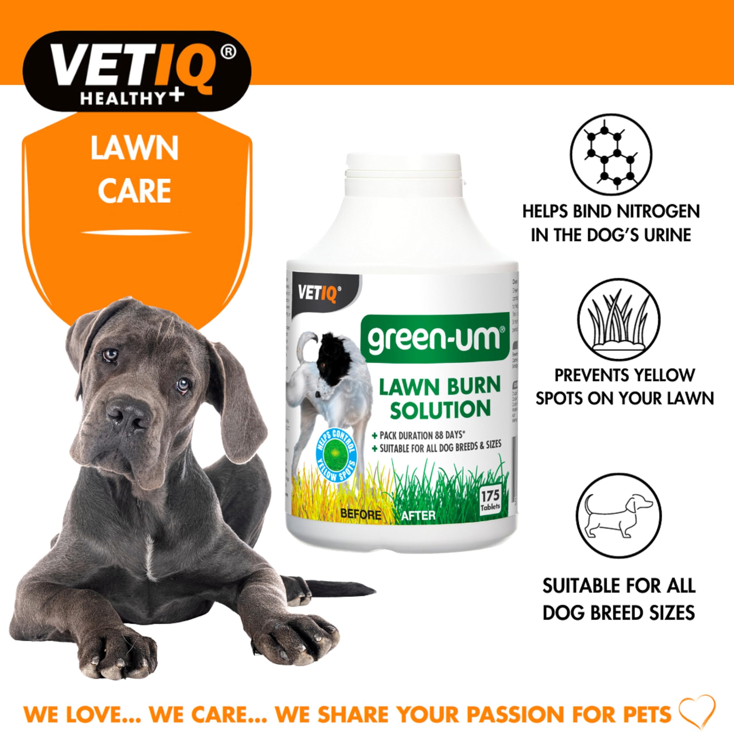 VETIQ Green-Um Lawn Burn Solution - Neutralizes Dog Urine pH | 175 Tablets | Contains B Vitamins 3