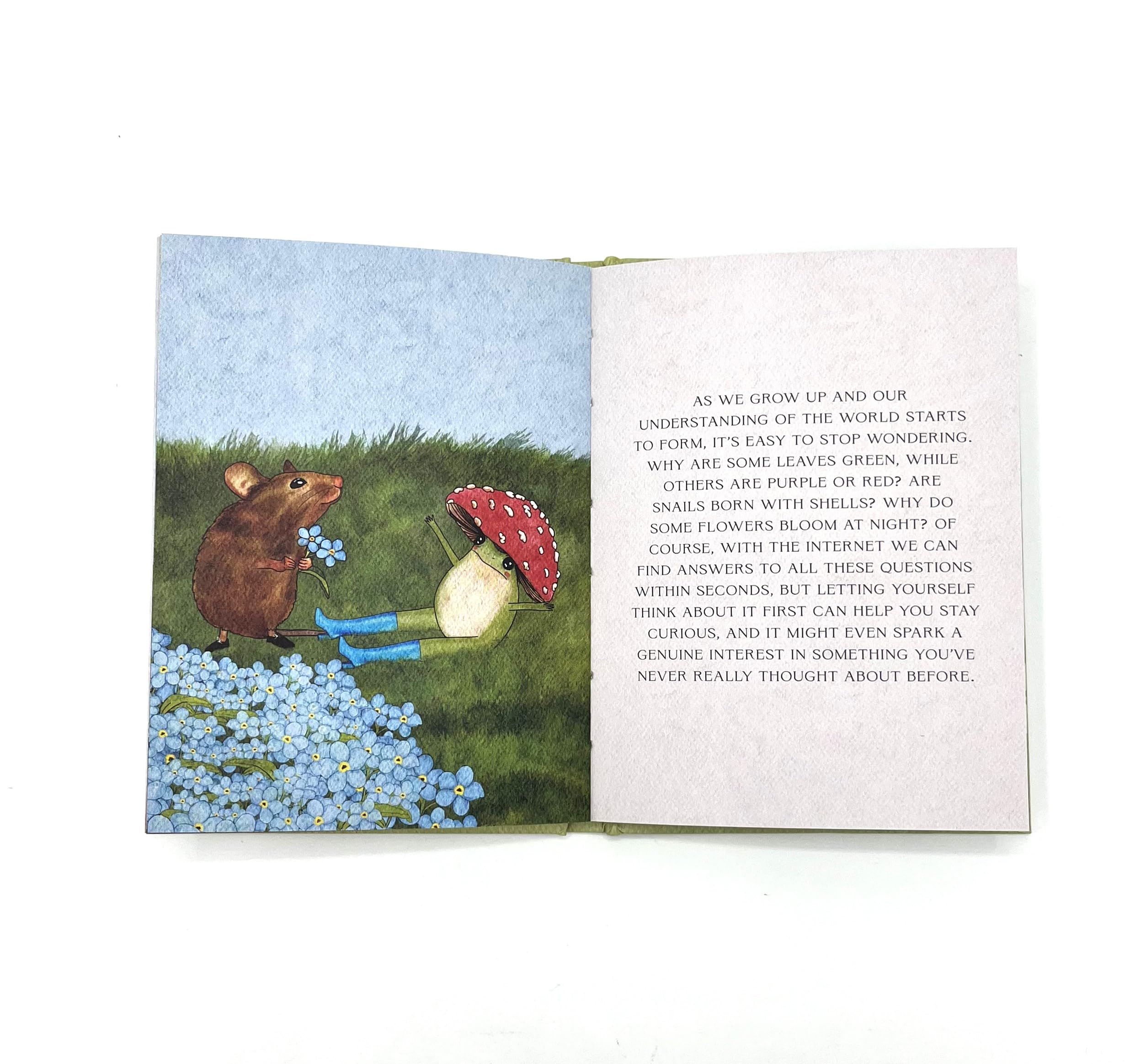 Summersdale The Little Frog's Guide to Self-Care: Affirmations, Self-Love and Life Lessons | Hardcover 4