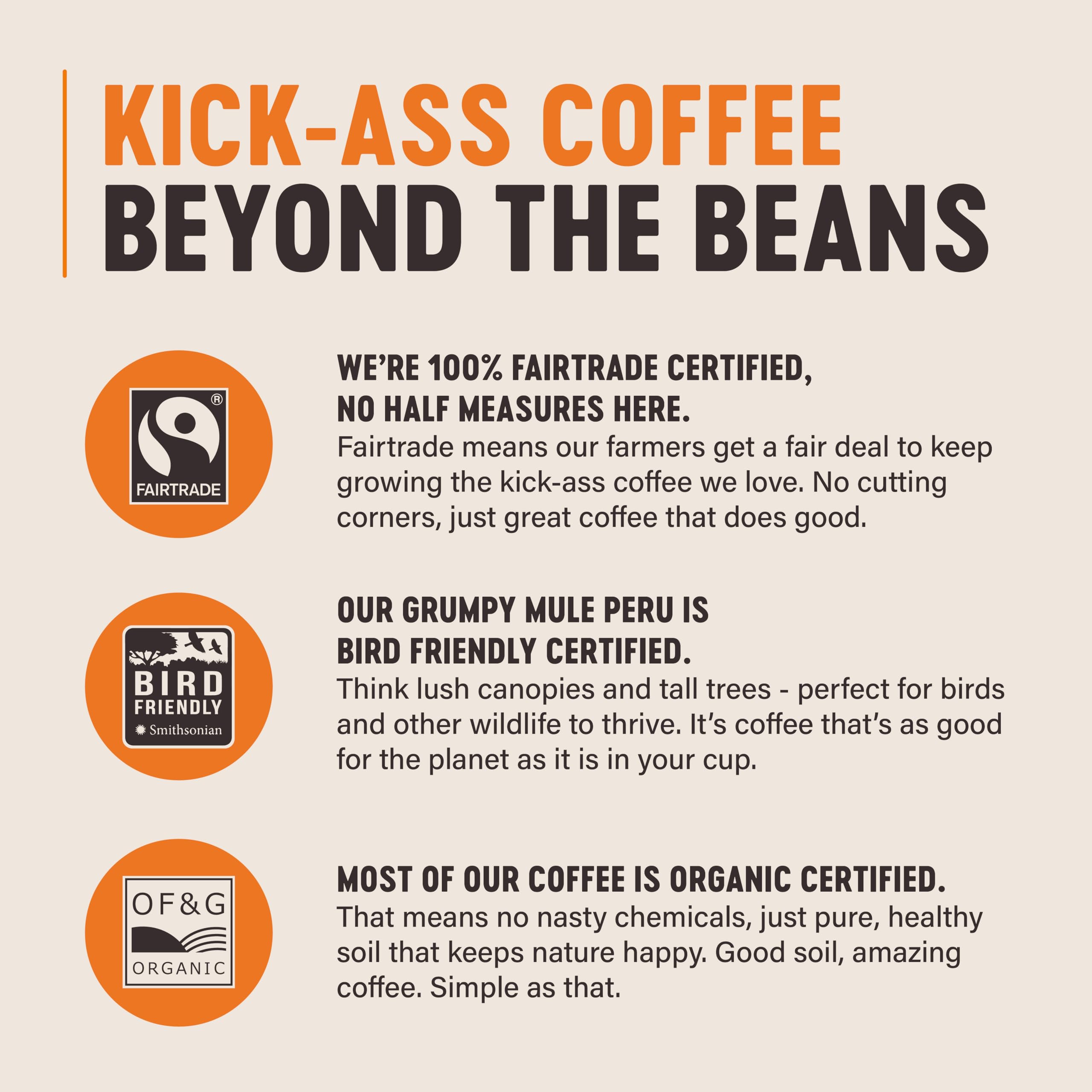 Grumpy Mule Peru Café Feminino Organic Whole Coffee Beans - Dark Chocolate & Citrus, Medium-Dark Roast, 500g 5