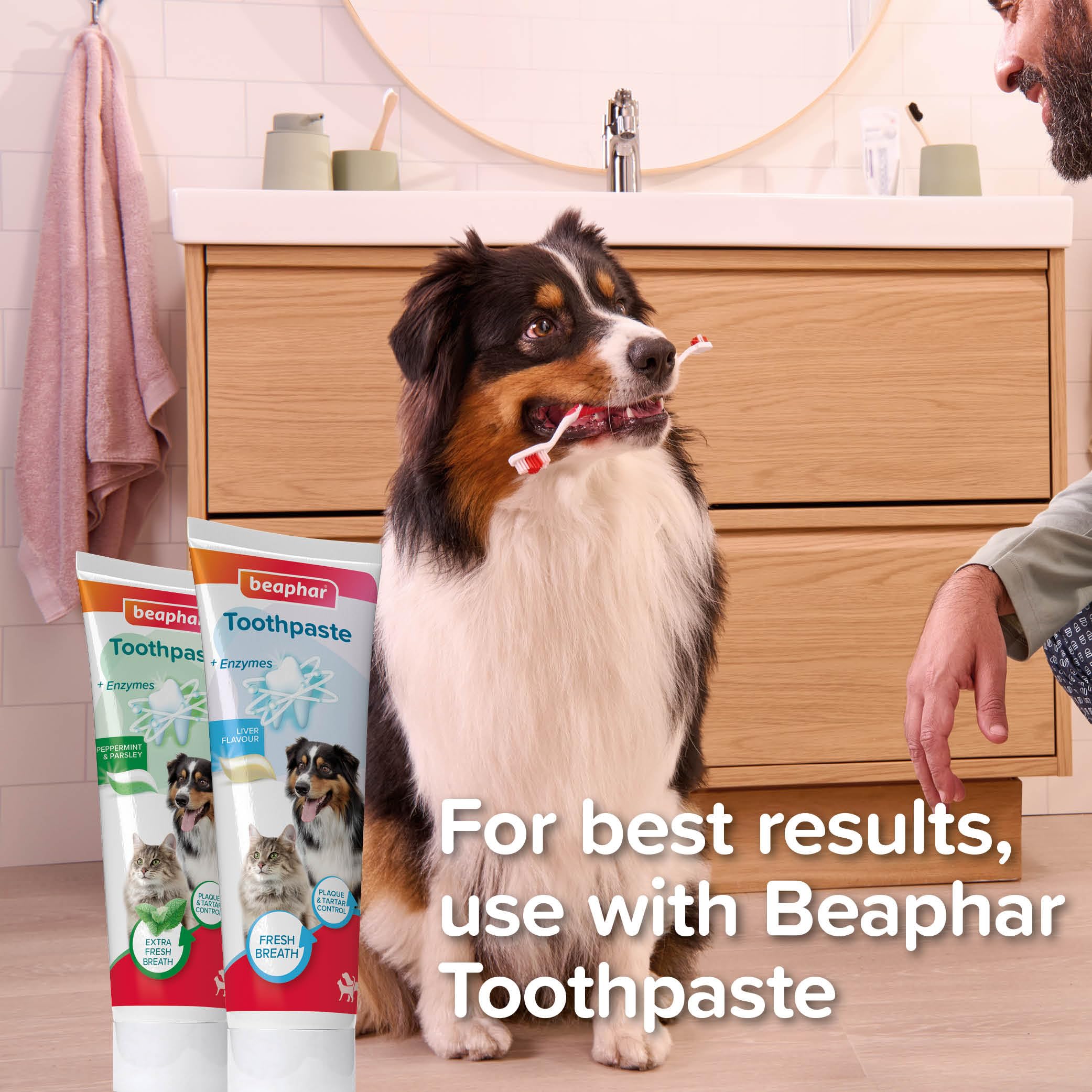 Beaphar Finger Toothbrush for Cats & Dogs - Gentle Silicone Cleaning | Plaque Removal | 2 Pack 4