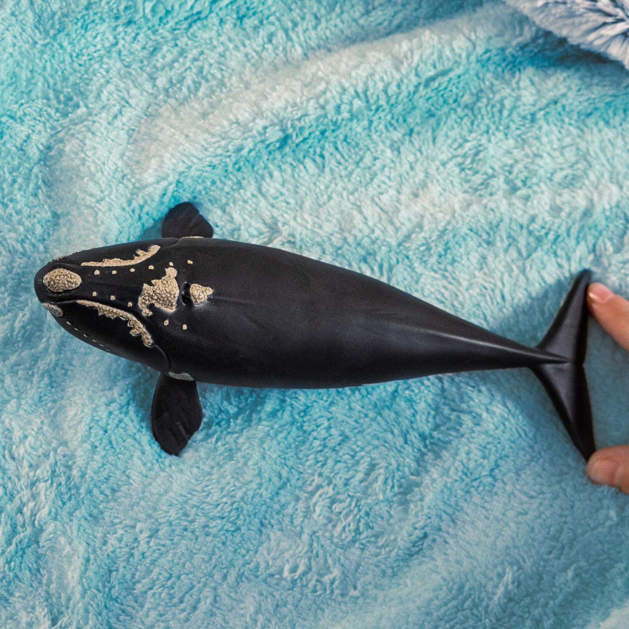 Schleich WILD LIFE North Atlantic Right Whale Figurine 19cm Plastic Model 14878 3