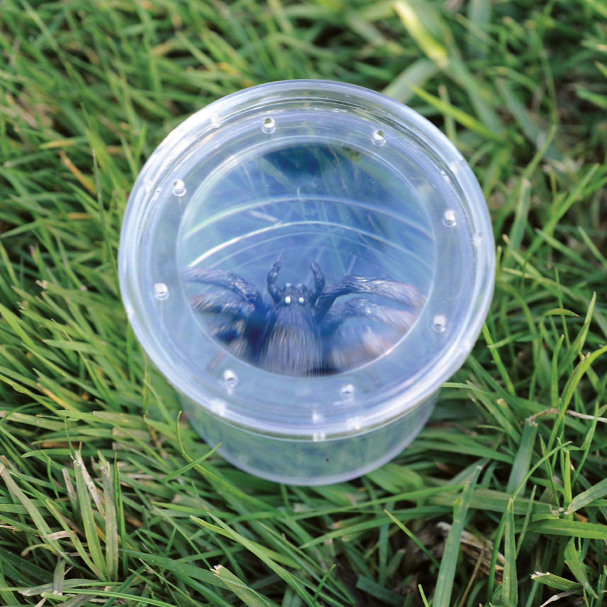 Learning Resources GeoSafari Jr. Bug Viewer - 3X Magnification | Measuring Grid Base | Ages 4+ 3