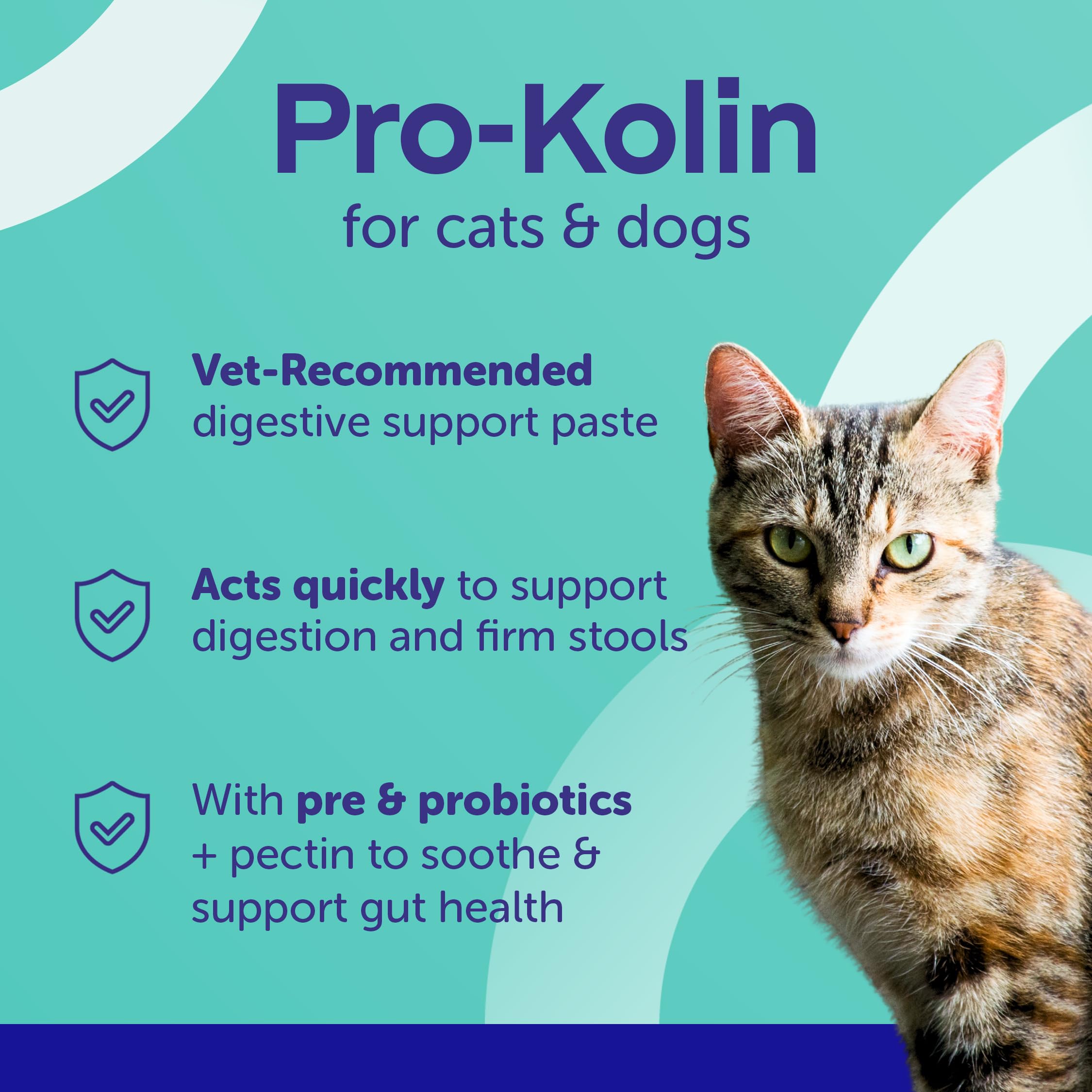 Protexin Pro-Kolin Probiotic Paste for Dogs and Cats - Digestive Support | 30ml Syringe