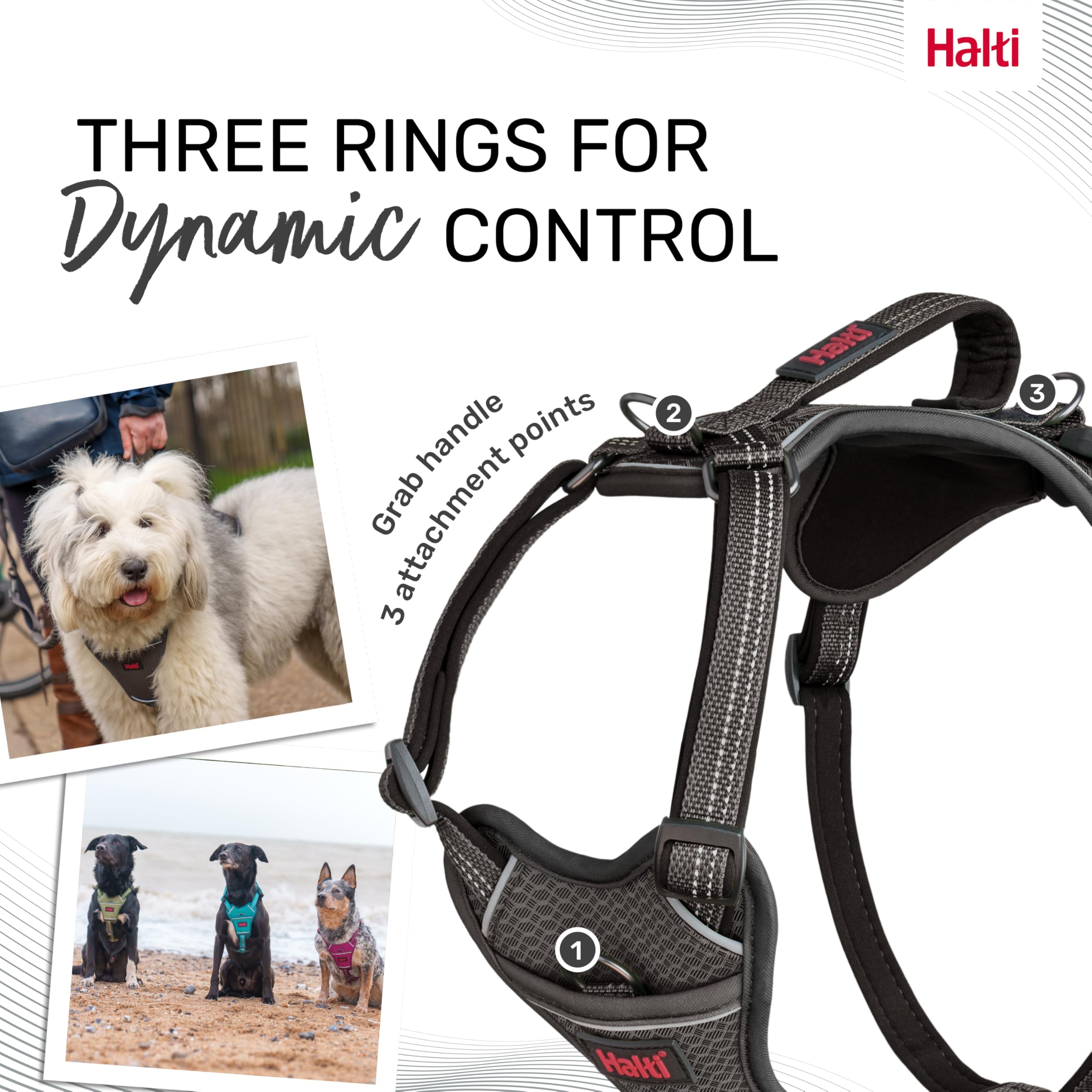 Halti Anatomy Dog Harness with Handle - Padded, Adjustable & Reflective | Size L, Grey 5