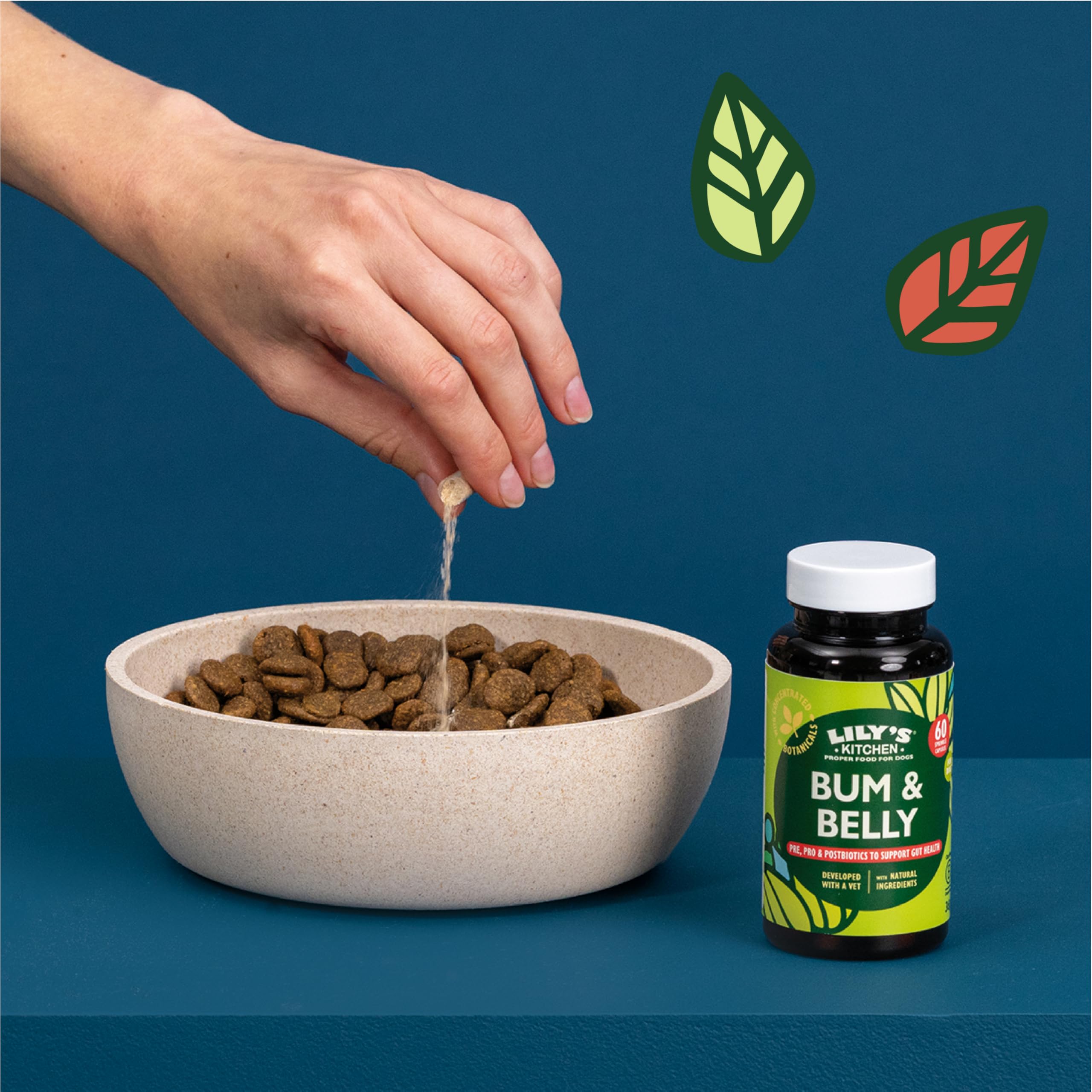 Lily's Kitchen Bum & Belly Supplements for Adult & Senior Dogs - Digestive Support | 60 Capsules 4