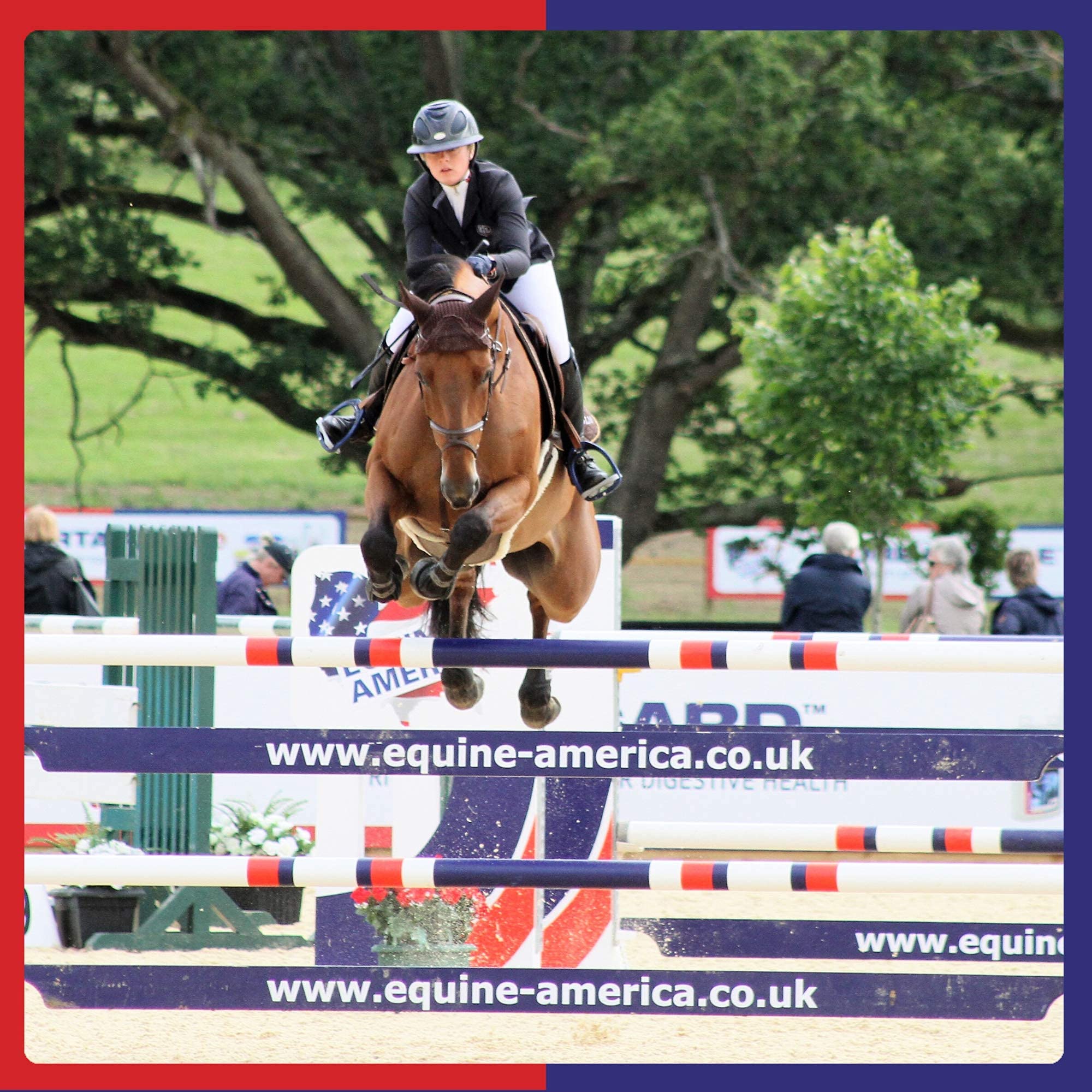 Equine America Cortaflex Regular Strength Powder for Horses - Joint Support | 250 g 4