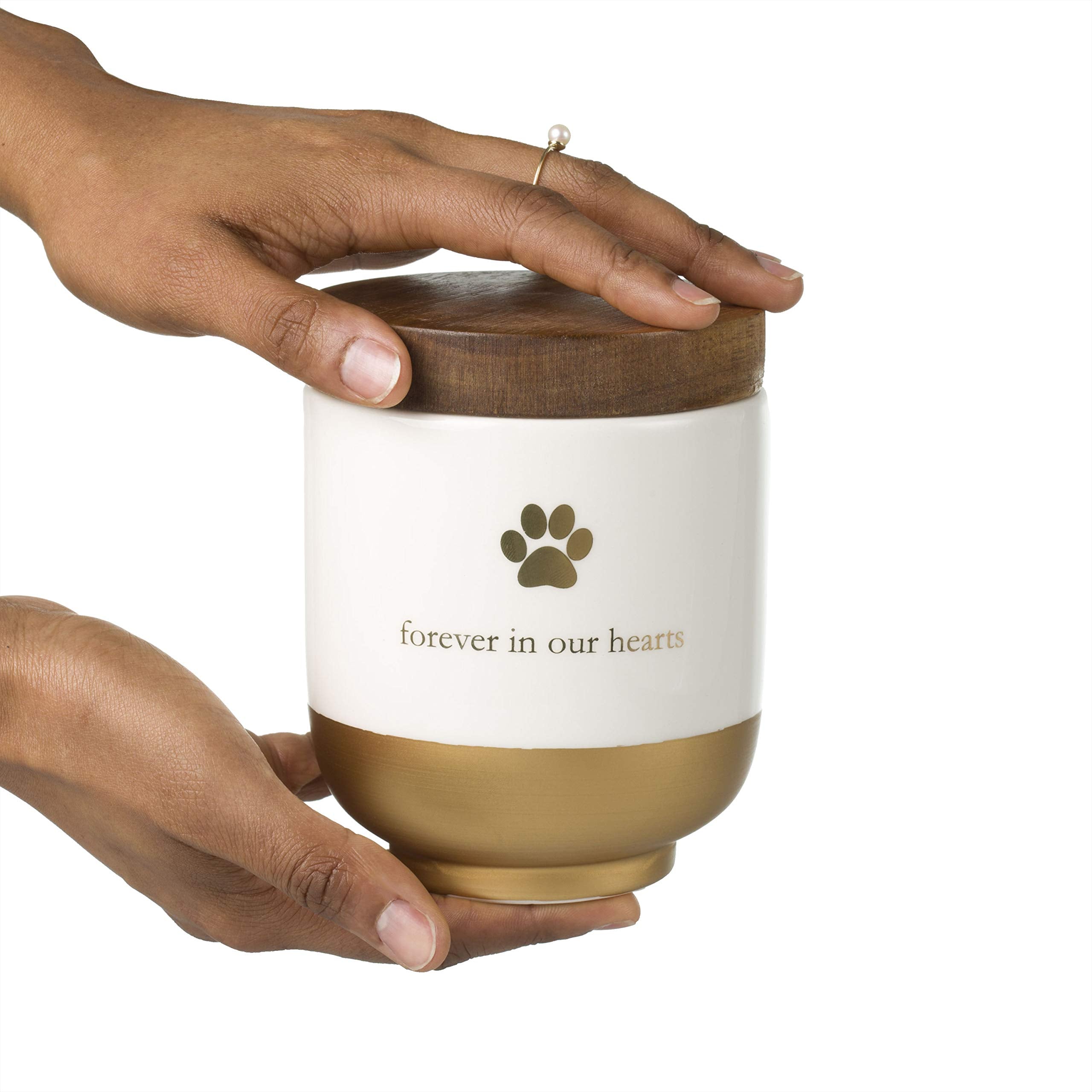 Pearhead Pet Ceramic Forever in Our Hearts Urn | Gold Accent | Fits Pets up to 45lbs