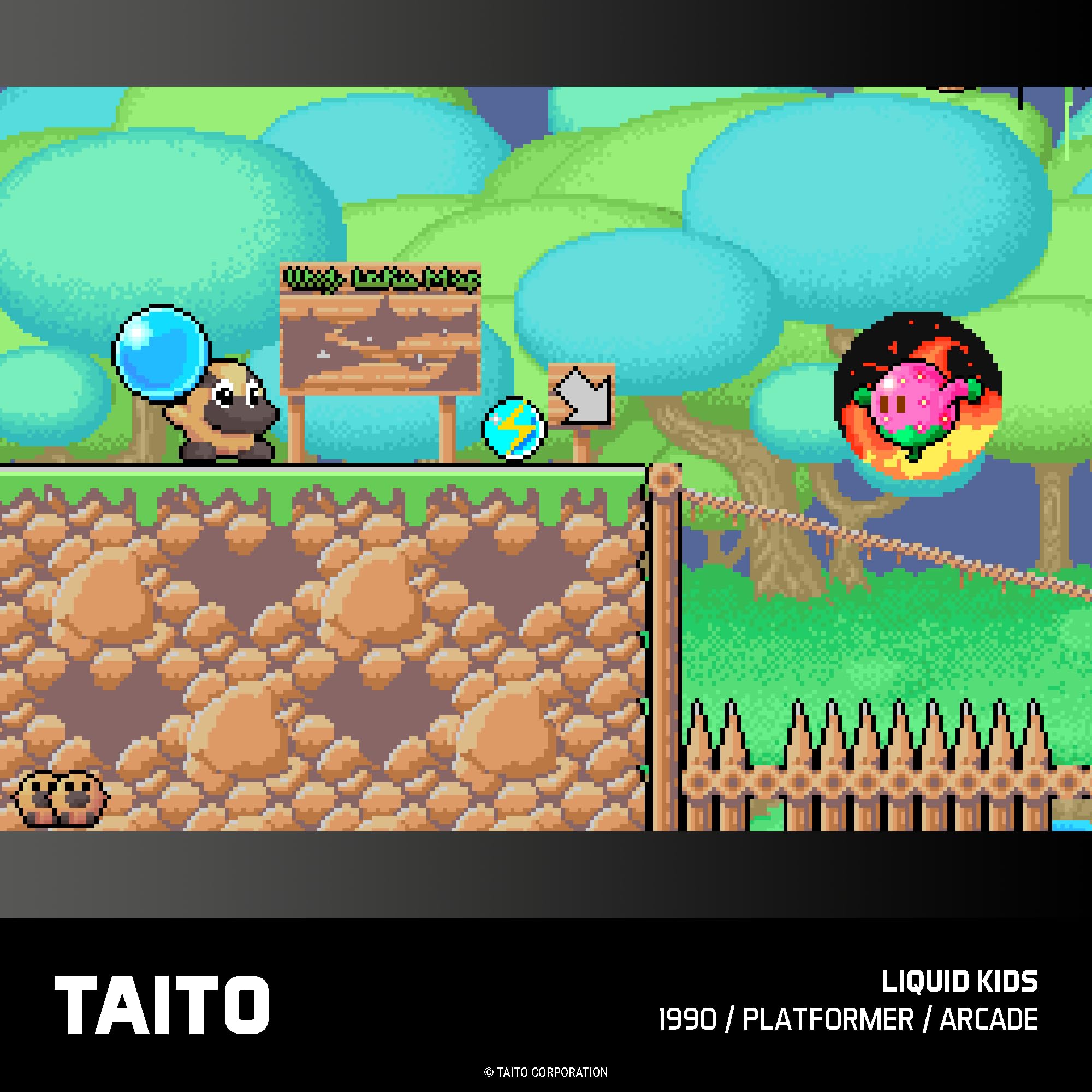 Taito Arcade 2 Collection - Evercade Cartridge 4