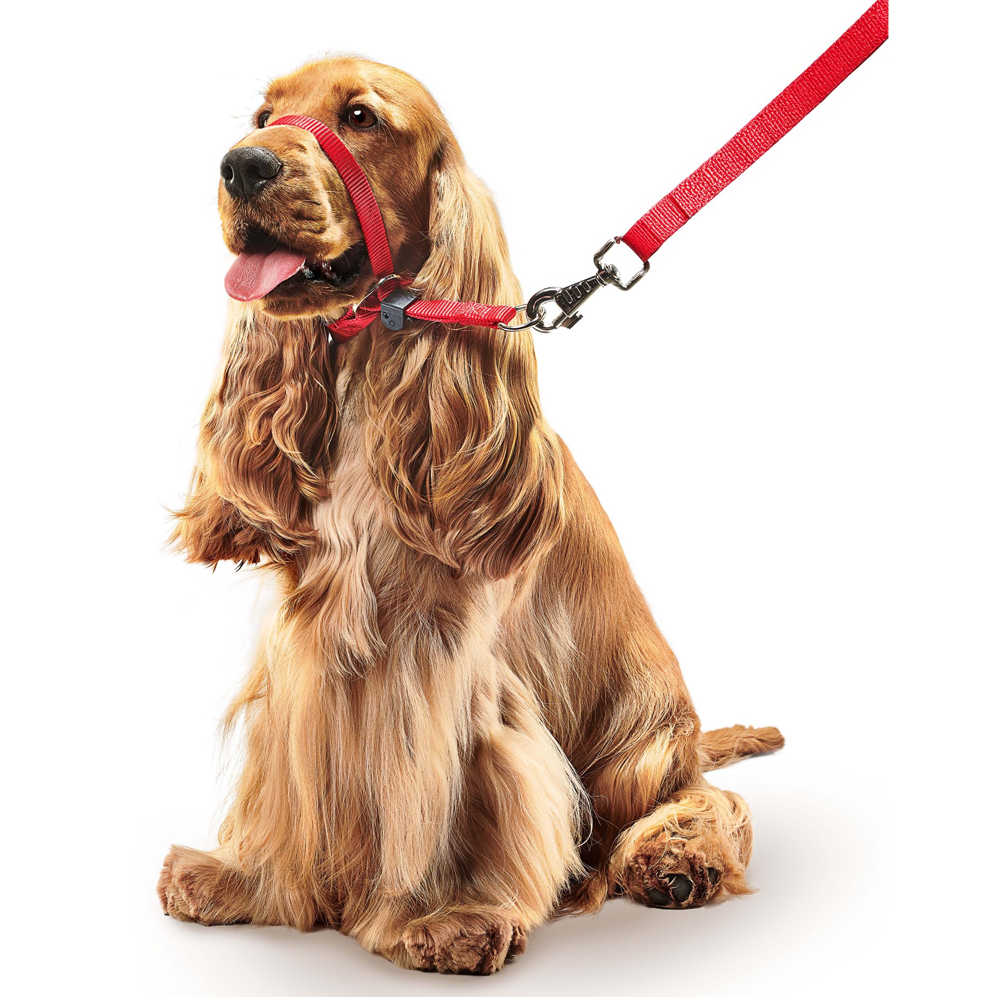 Beaphar Gentle Leader Head Collar - Medium Dog Training Aid for Stopping Pulling | Red 4