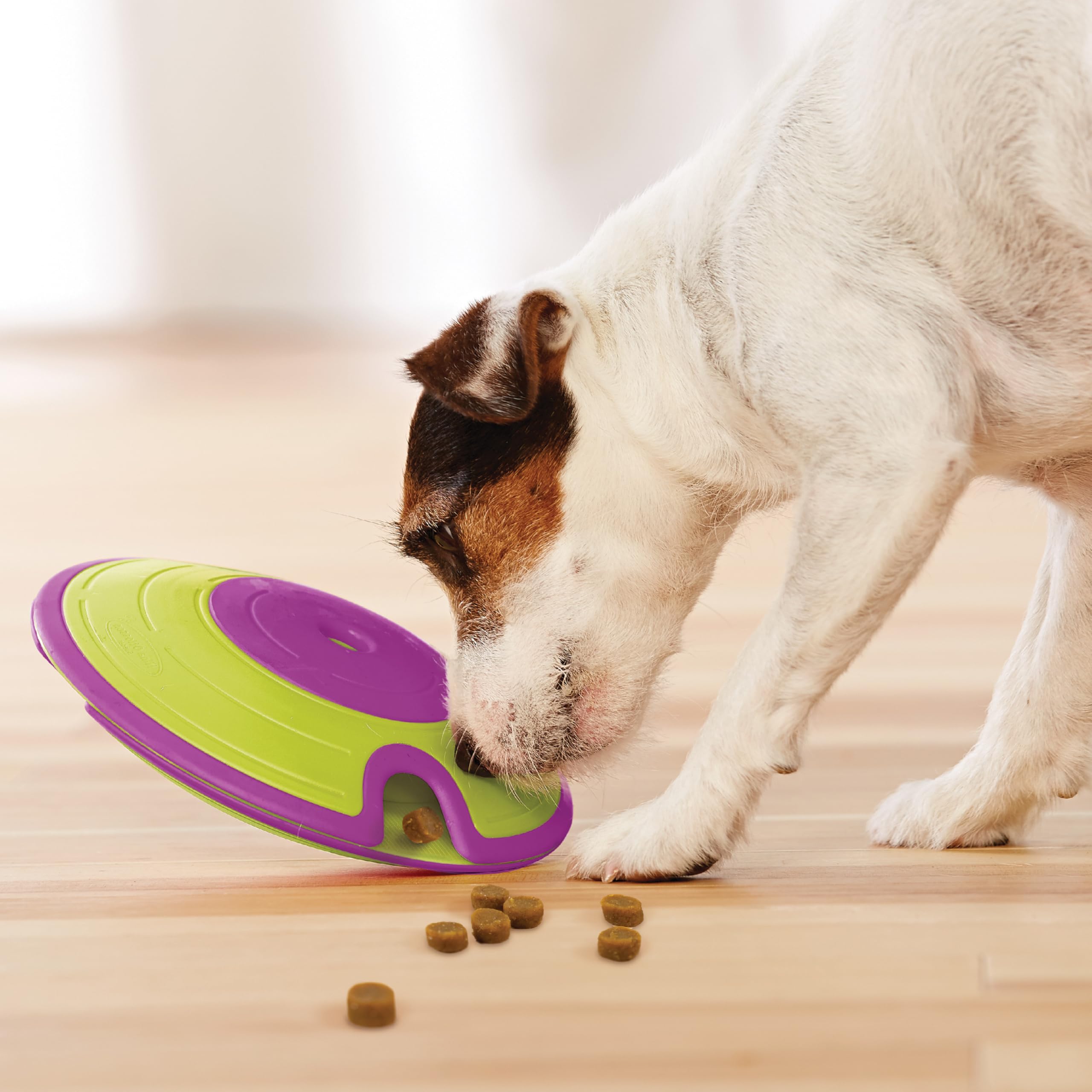 Outward Hound Nina Ottosson Treat Maze Interactive Treat Puzzle Dog Toy, Intermediate Level 2 8