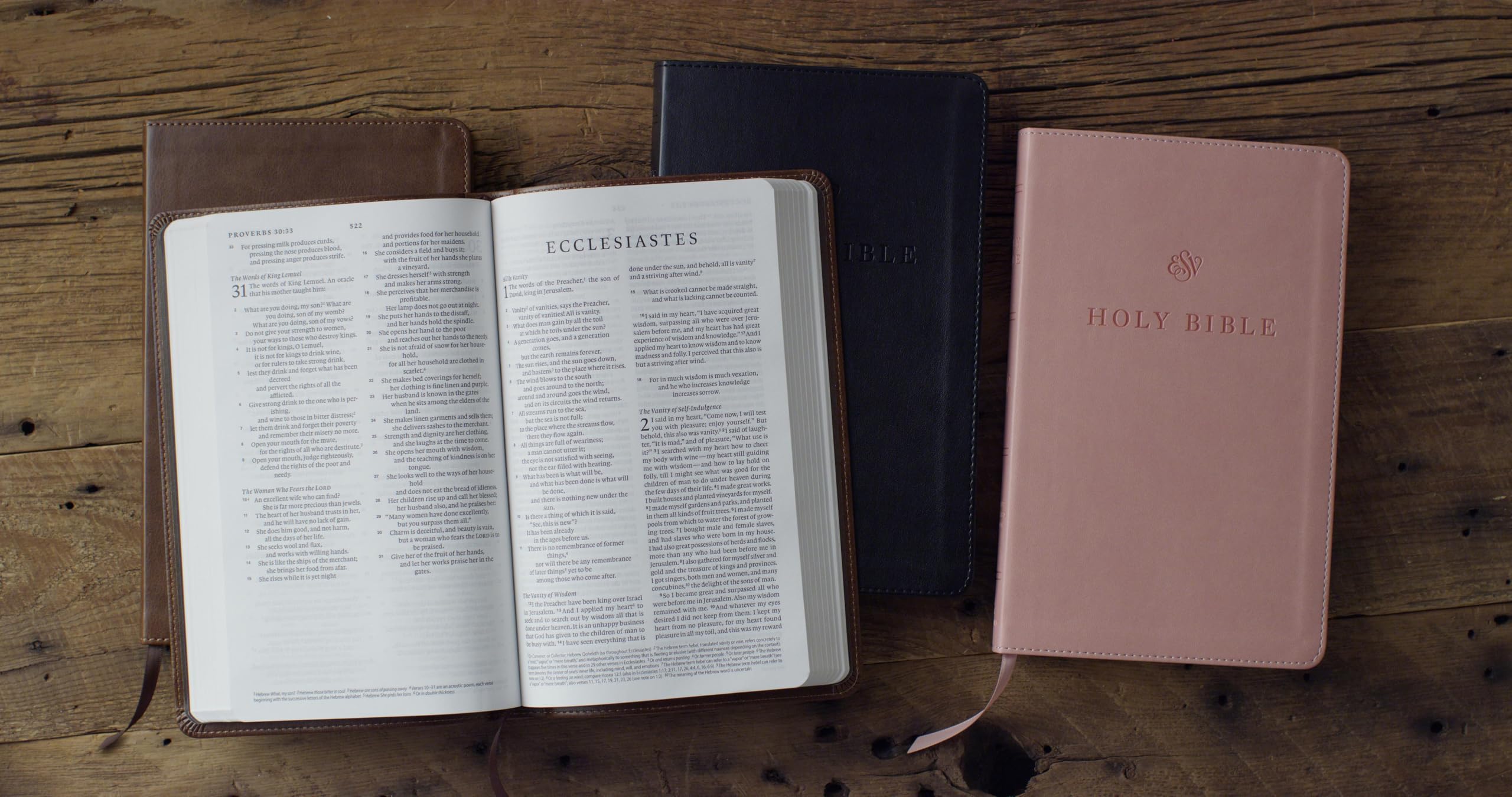 Crossway ESV Premium Church Bible - TruTone Brown Cover | Smyth-Sewn Binding | 1008 Pages 3