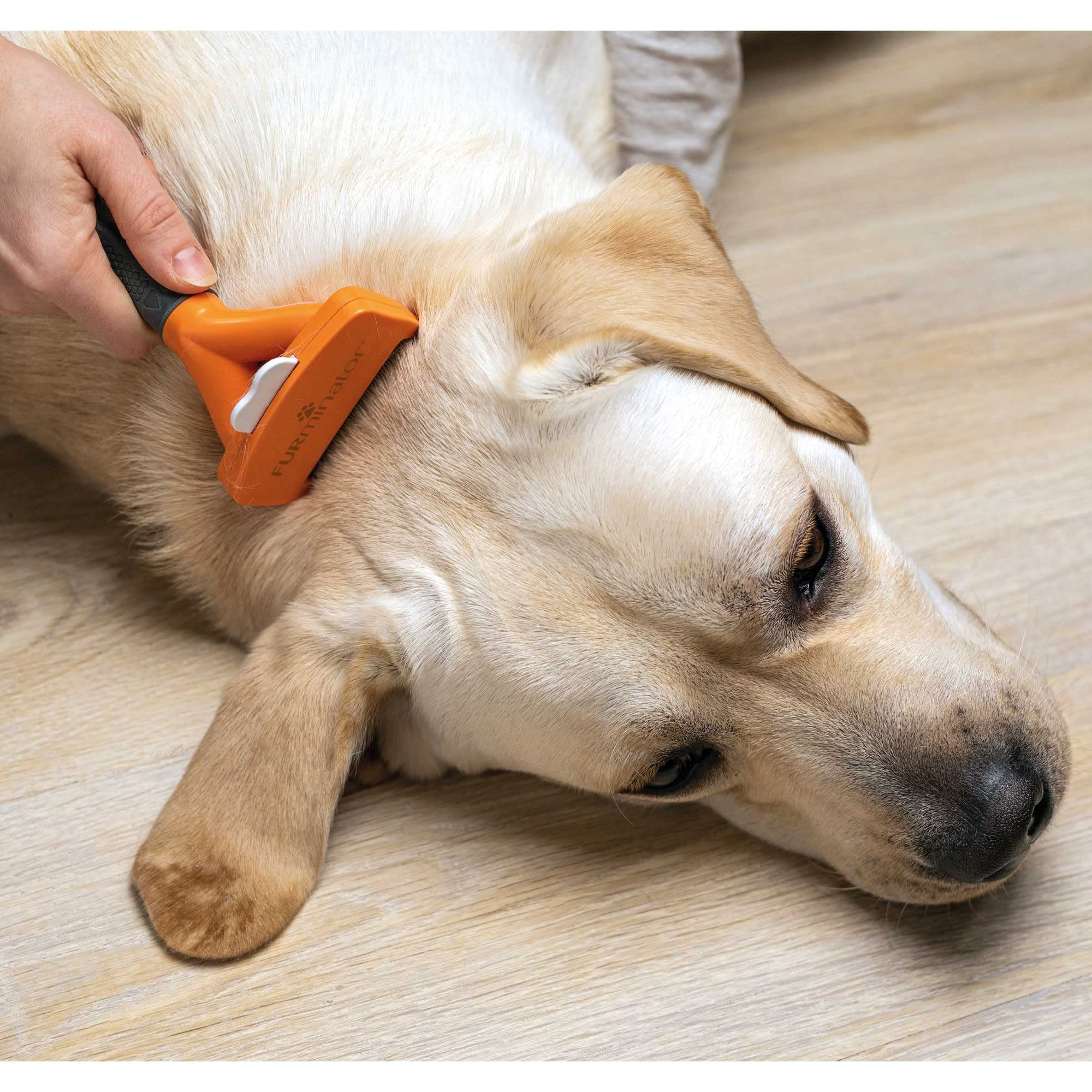 FURminator Undercoat deShedding Tool for Large Short Hair Dogs (23-41 kg) 4