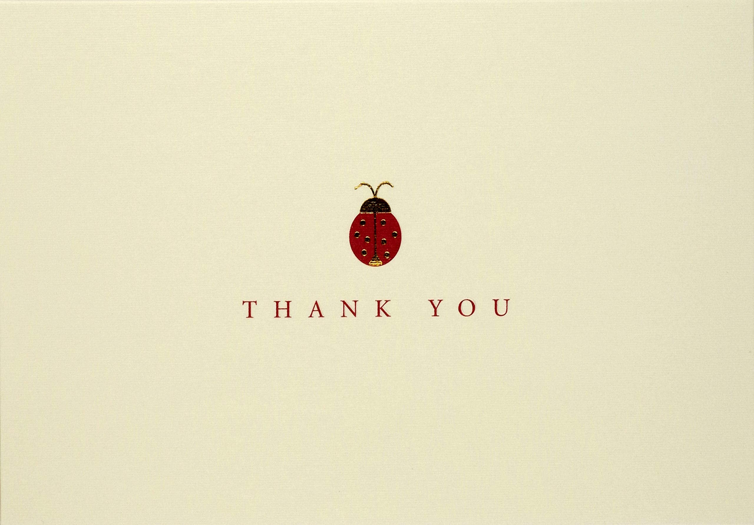Peter Pauper Press Lady Bug Thank You Notes - 14 Cards & 15 Envelopes | Blank Interior | 5" x 3.5"