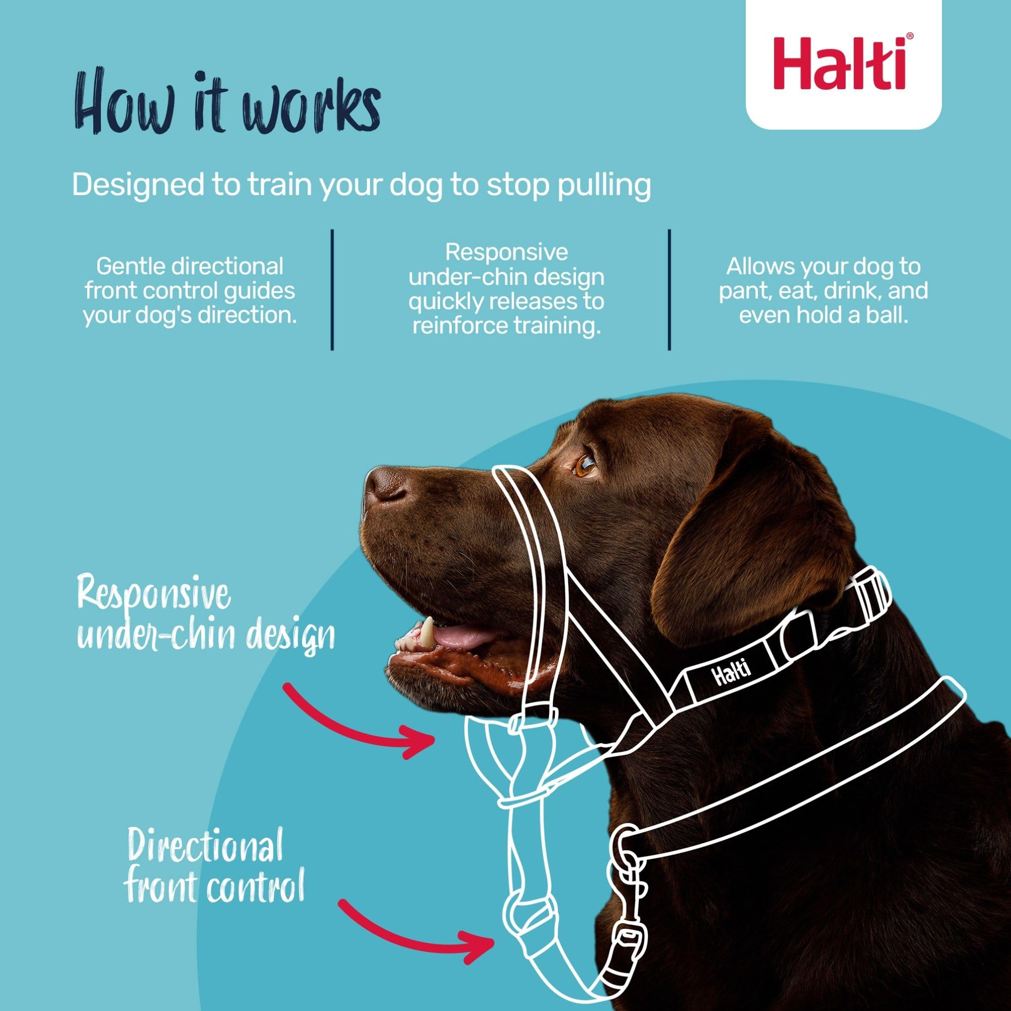 Halti Headcollar - Stops Pulling for Dogs | Size 3, Burnt Orange, Reflective 2