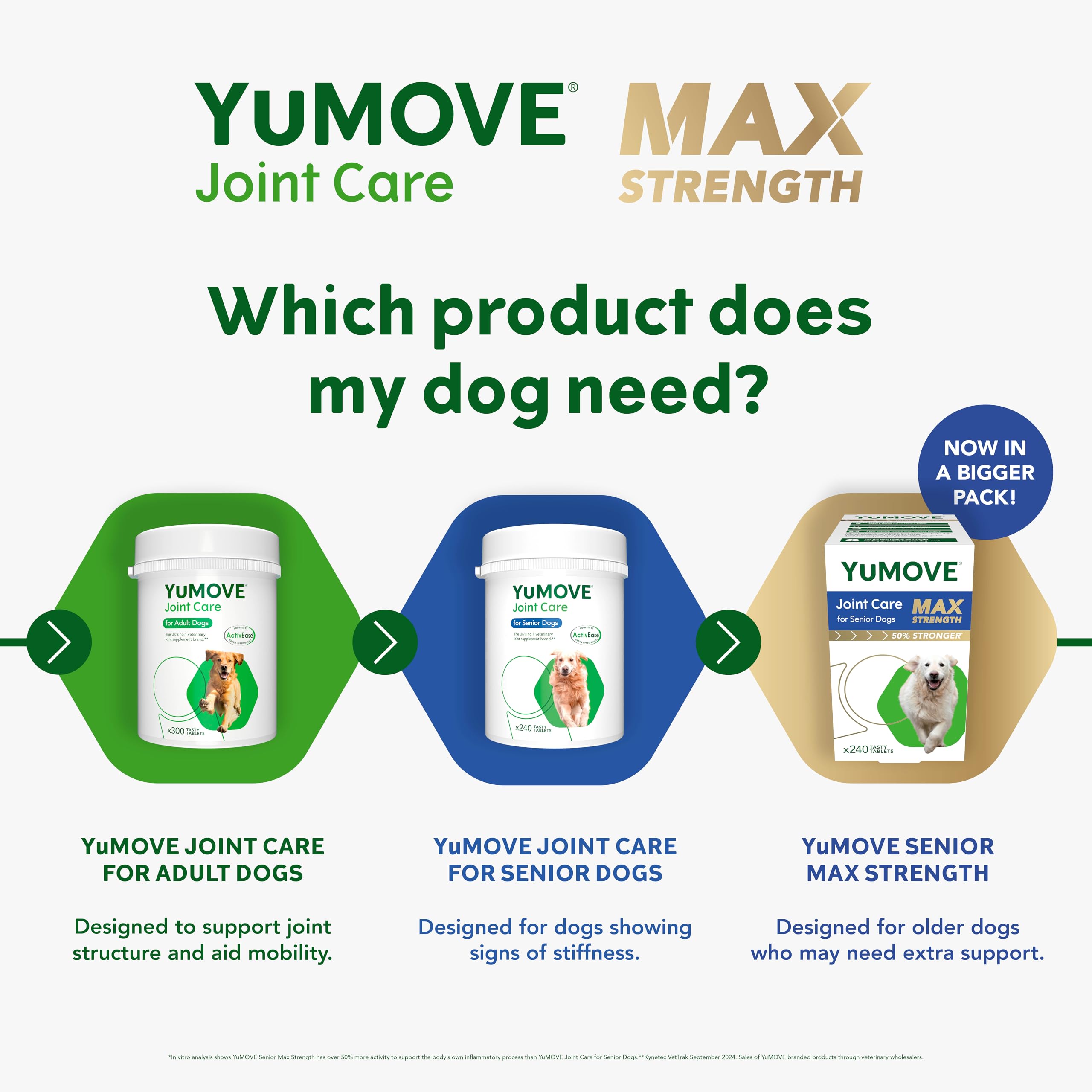 YuMOVE Max Strength Joint Supplement for Senior Dogs | 240 Tablets | Fish Flavor 5