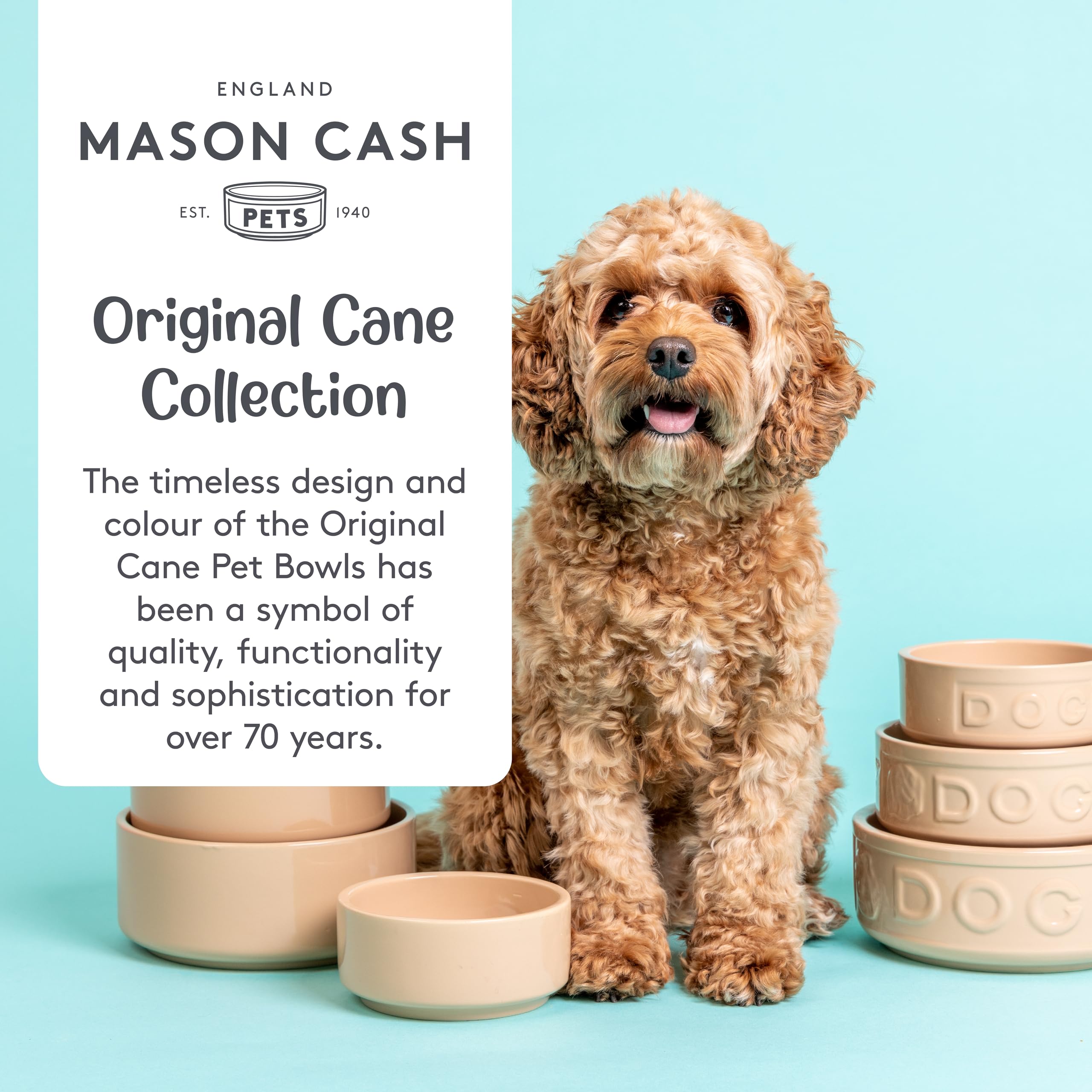 Mason Cash Cane & Blue Cat Bowl - 13 cm Ceramic, 400 ml Capacity | Non-Tip Design 3