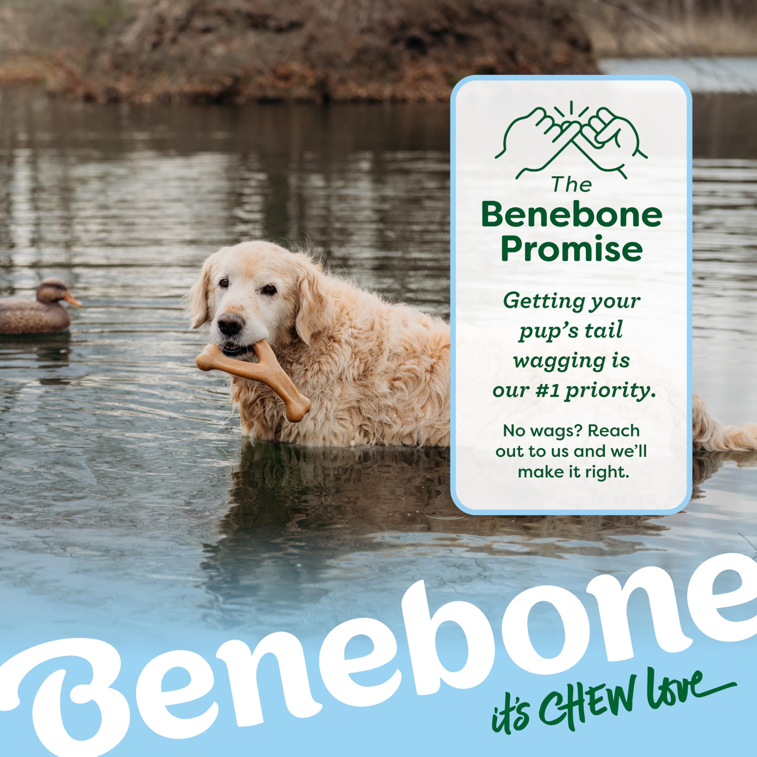 Benebone Wishbone Durable Chew Toy - Limited Edition Duck Flavor | Large Size 7