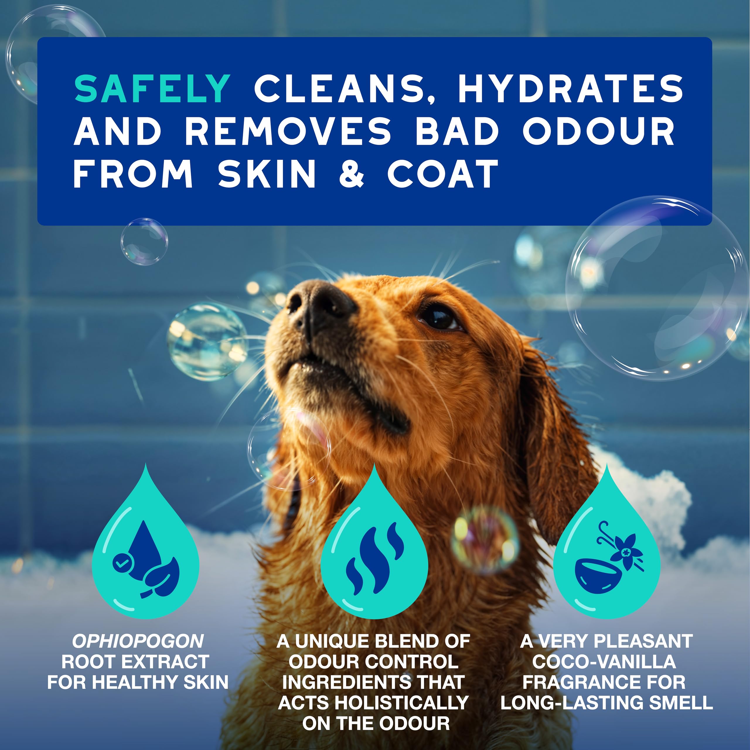 Douxo Odour Control Dog Shampoo - Deodorizing & Hypoallergenic Coco Vanilla Scent | 250 ml