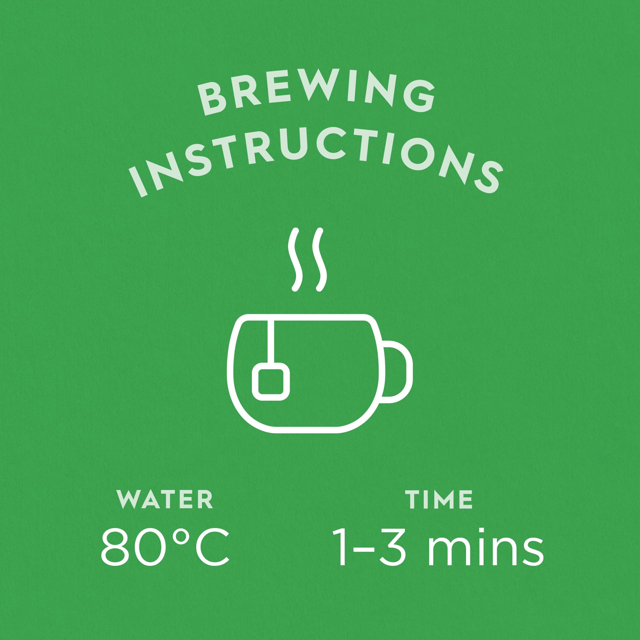 DRAGONFLY Pure Green Mountain Organic Green Tea Bags - 80 Count (4 x 20 Bags) | Antioxidant Rich 3