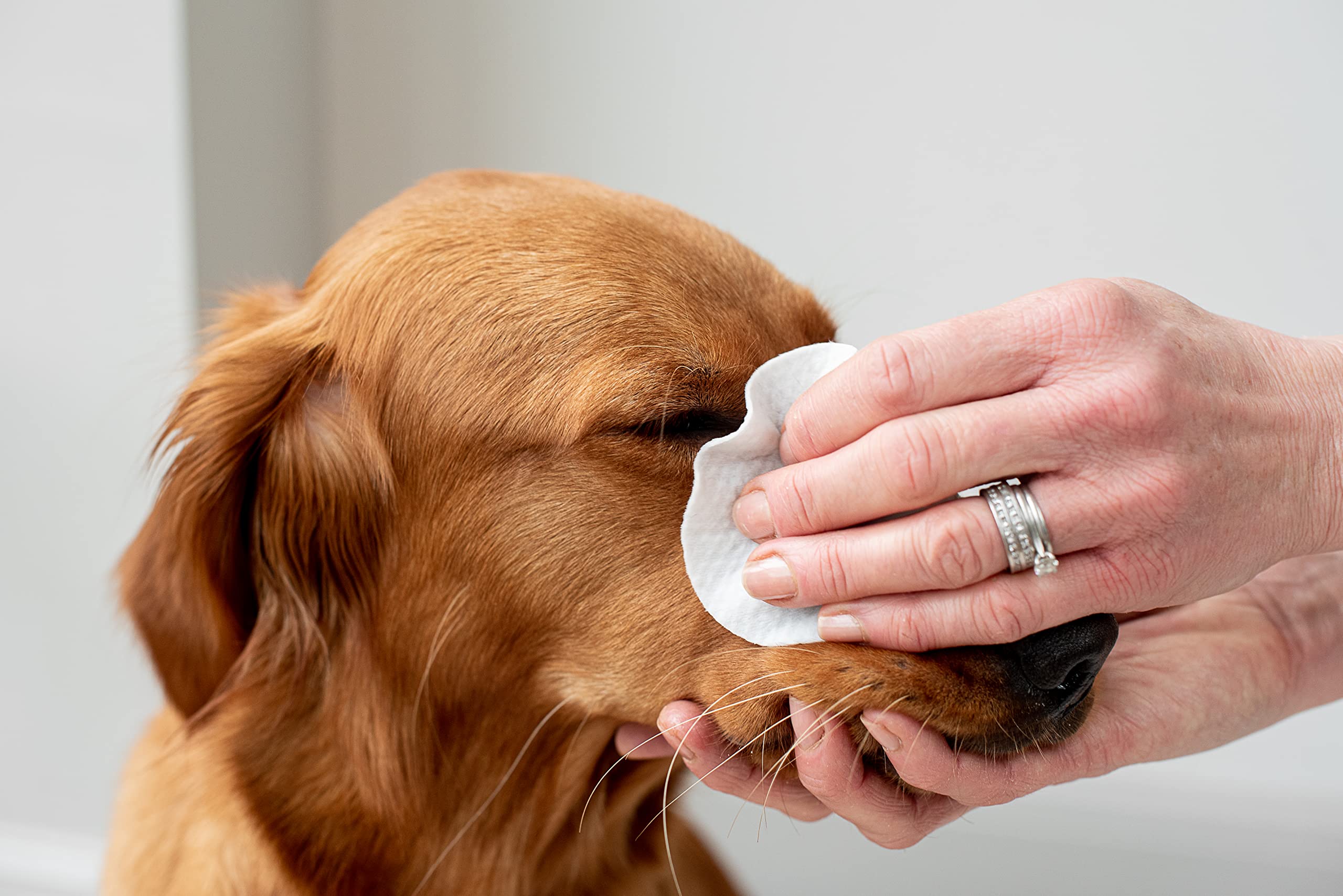 pet wiz Vet Approved Natural Eye Wipes for Dogs - 120 Extra Large Soothing Pads 5