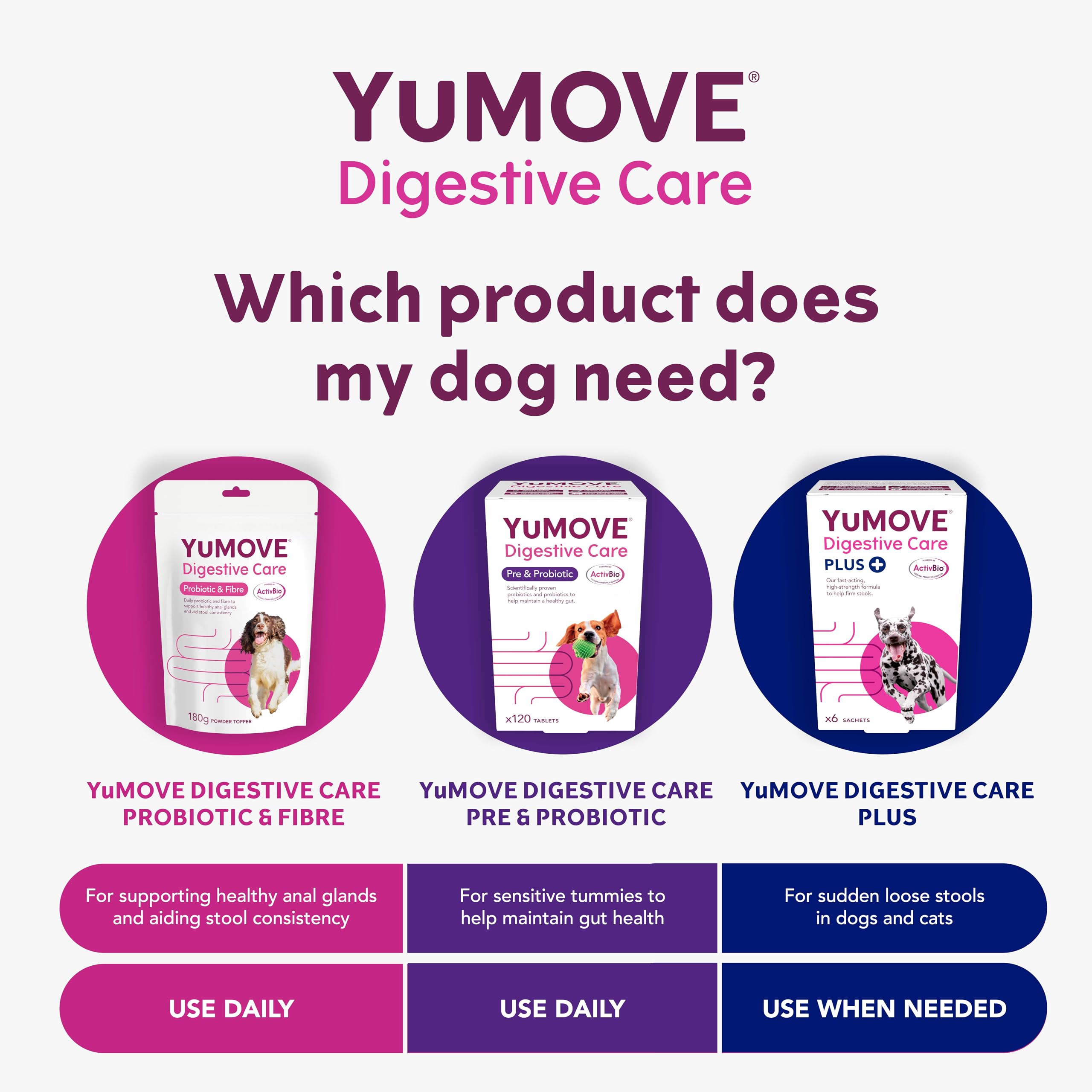 YuMOVE Digestive Care Dog Pre and Probiotics Supplement for Gut Health | 120 Tablets 5
