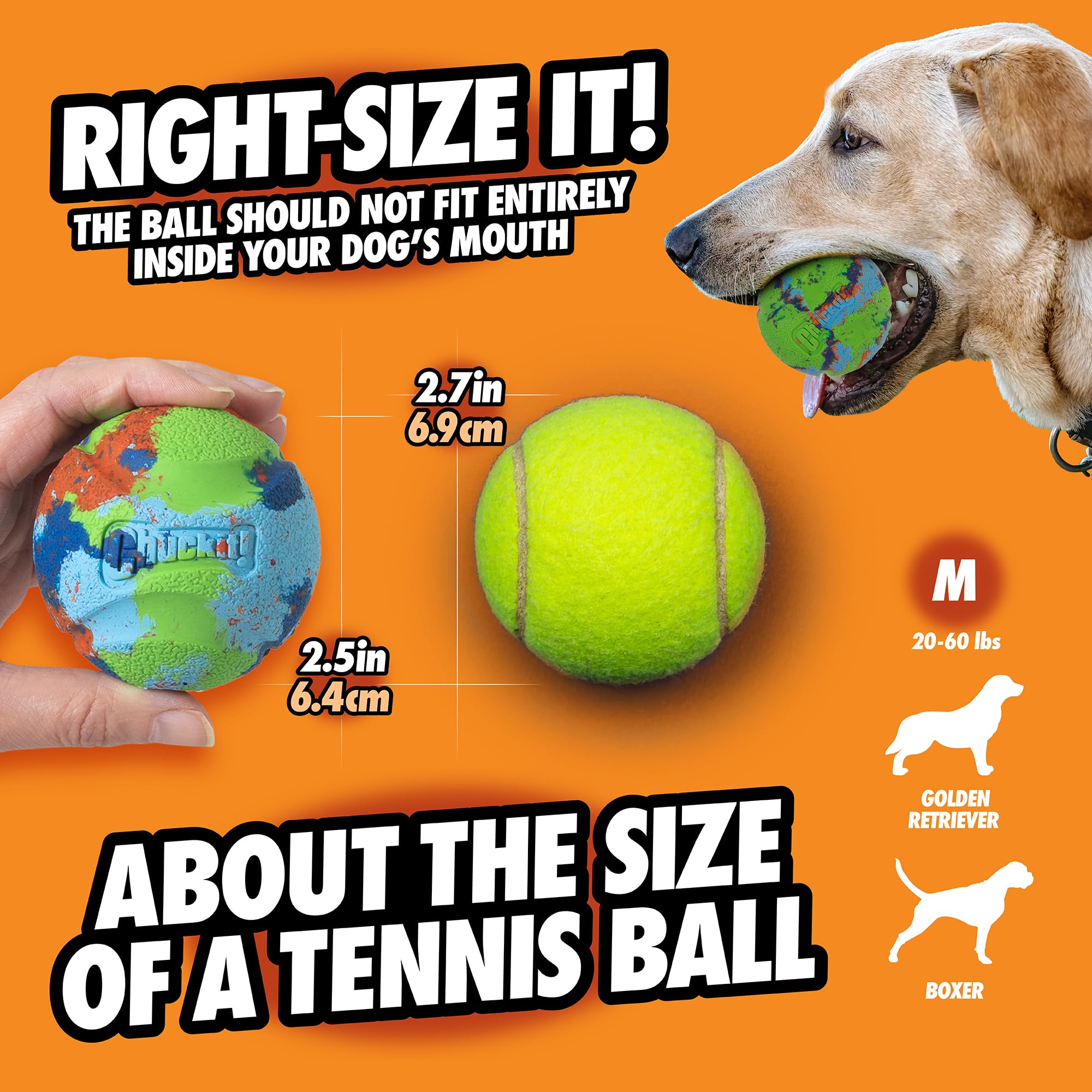 Chuckit! Eco Dog Ball - Durable Recycled Rubber Fetch Toy | Medium Size | Water Resistant 5