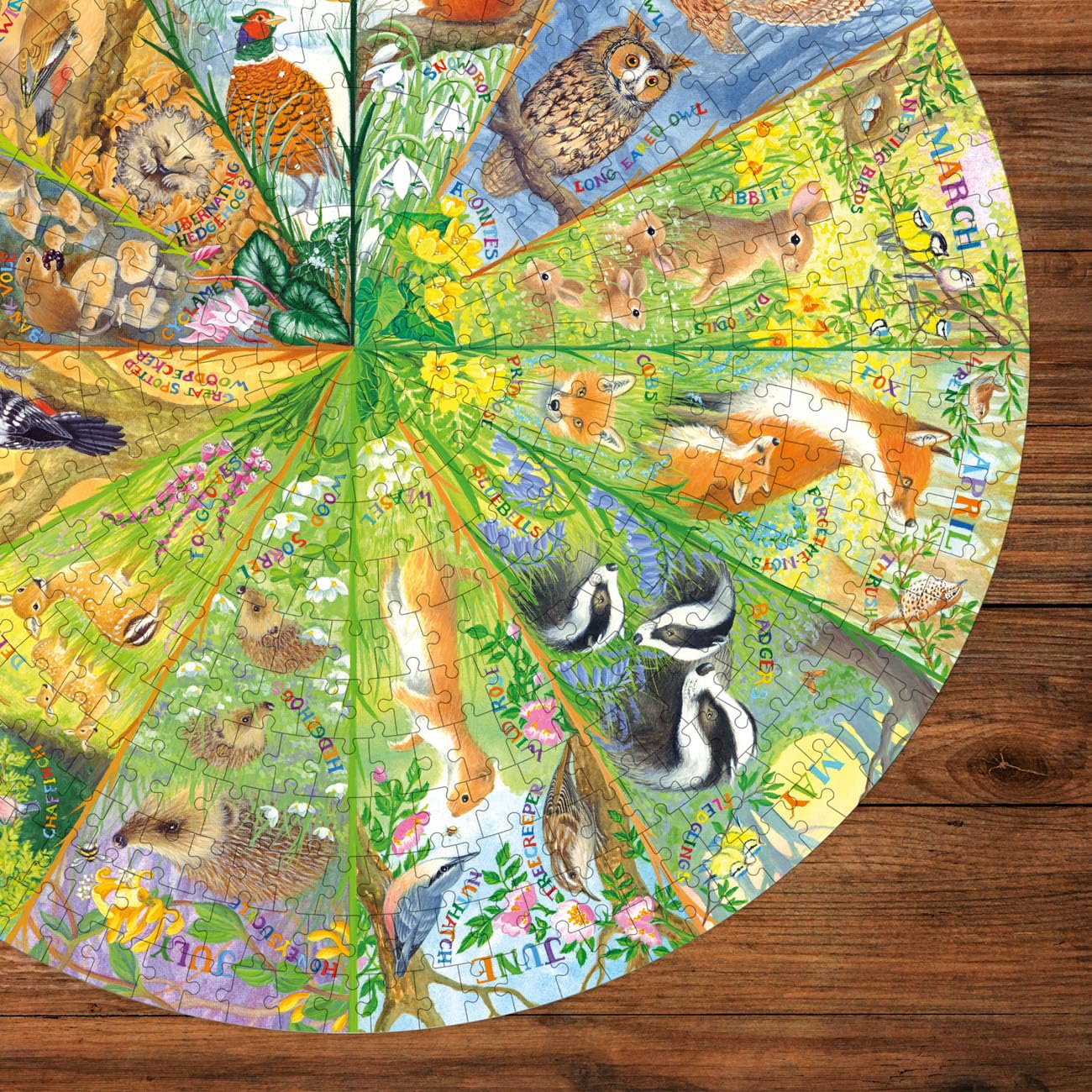 Gibsons National Trust A Year in the Forest 500 Piece Circular Jigsaw Puzzle 3