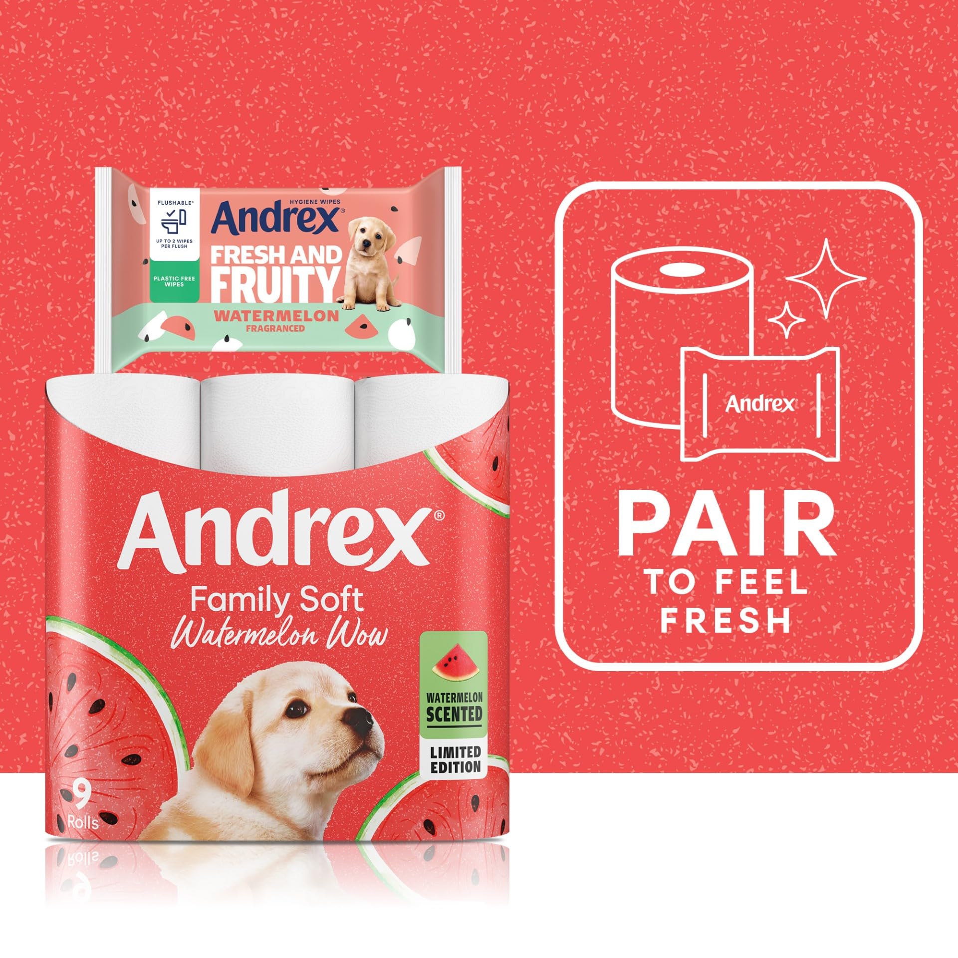 Andrex Fresh and Fruity Hygiene Wipes - Watermelon Scent, Flushable, 12 Packs