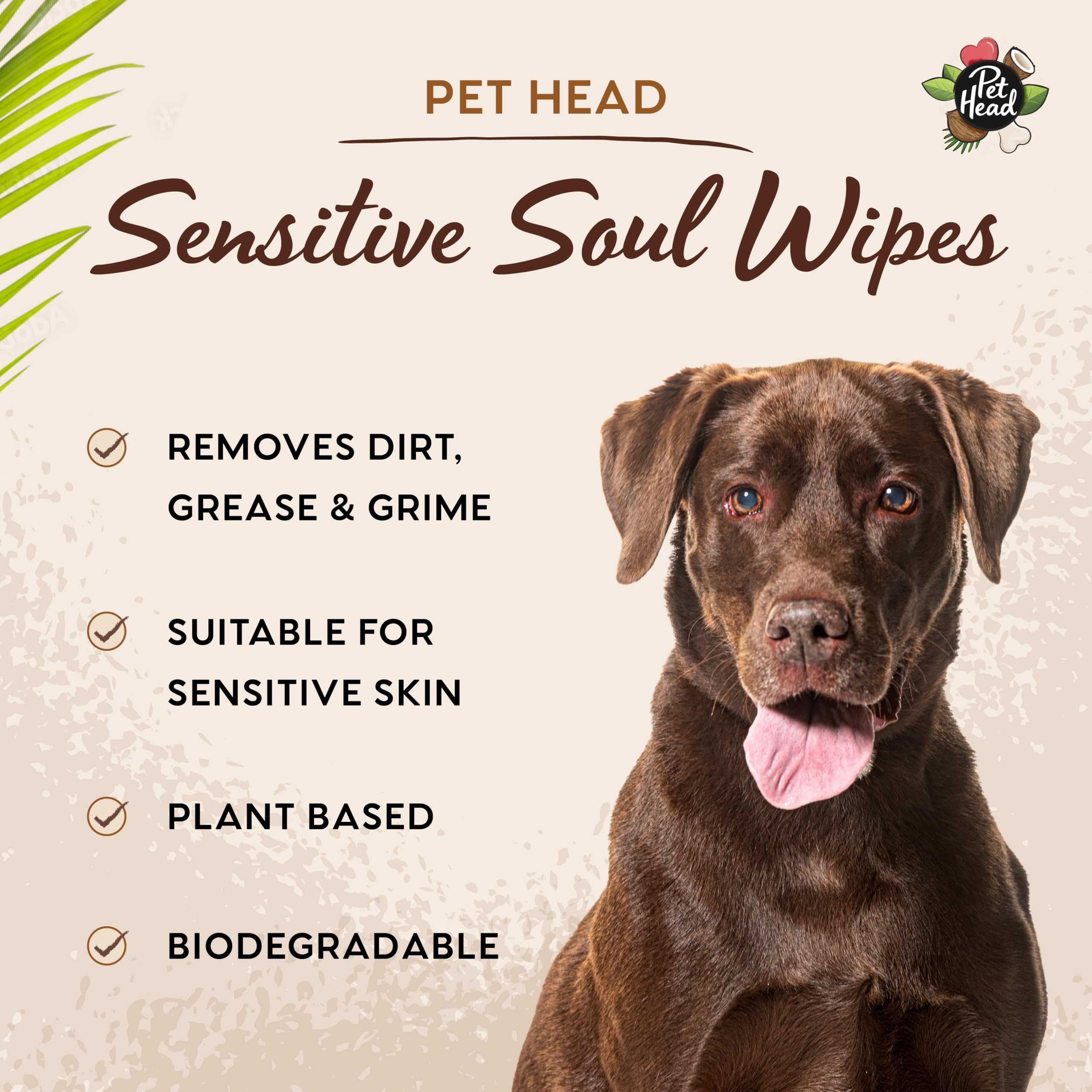 Pet Head Sensitive Soul Dog & Cat Wipes - Coconut Scent, Soothing for Paws/Body/Face | 100-Pack 4