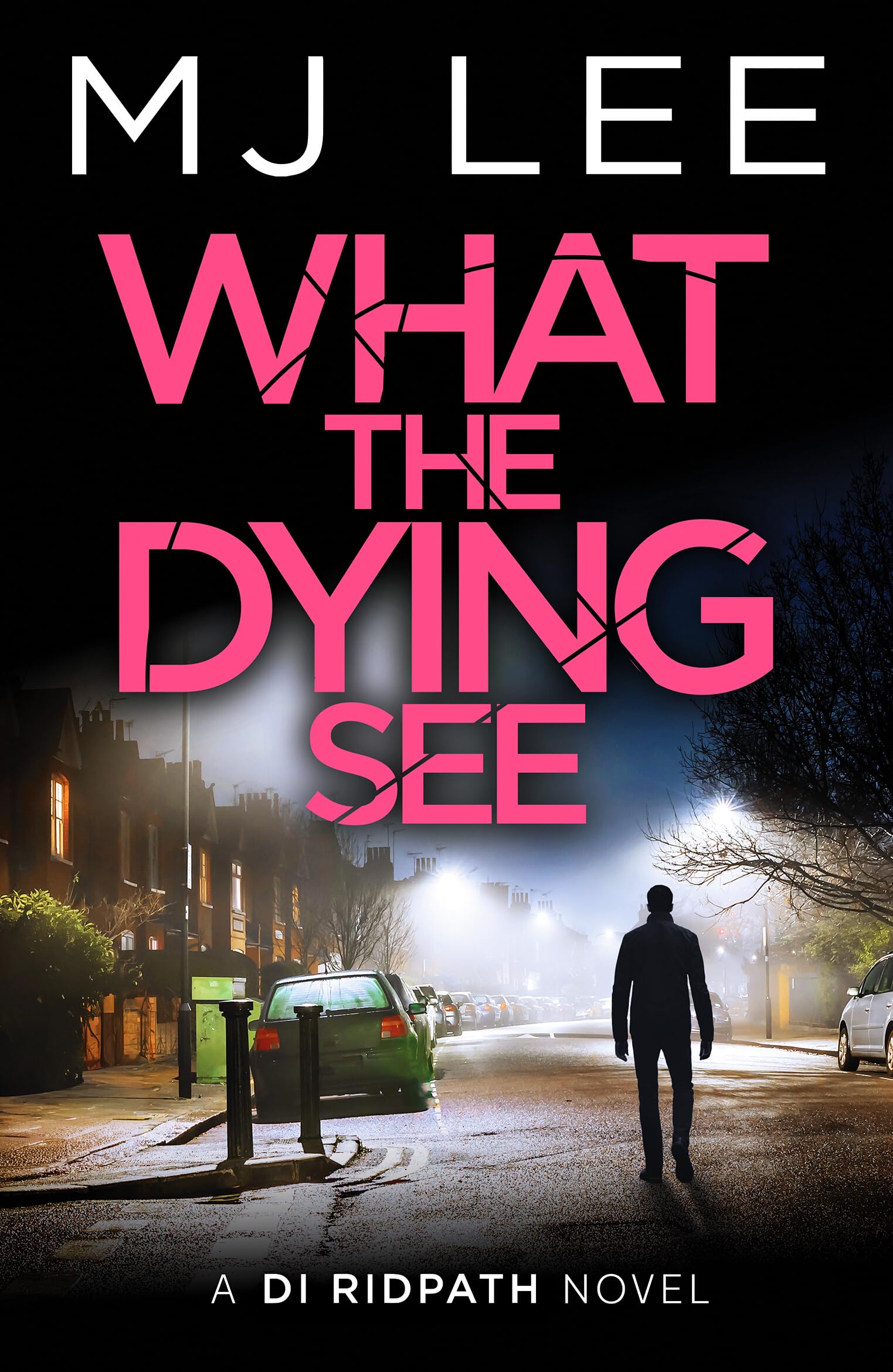 Canelo What the Dying See: DI Ridpath Crime Thriller Book 12 | Paperback | English