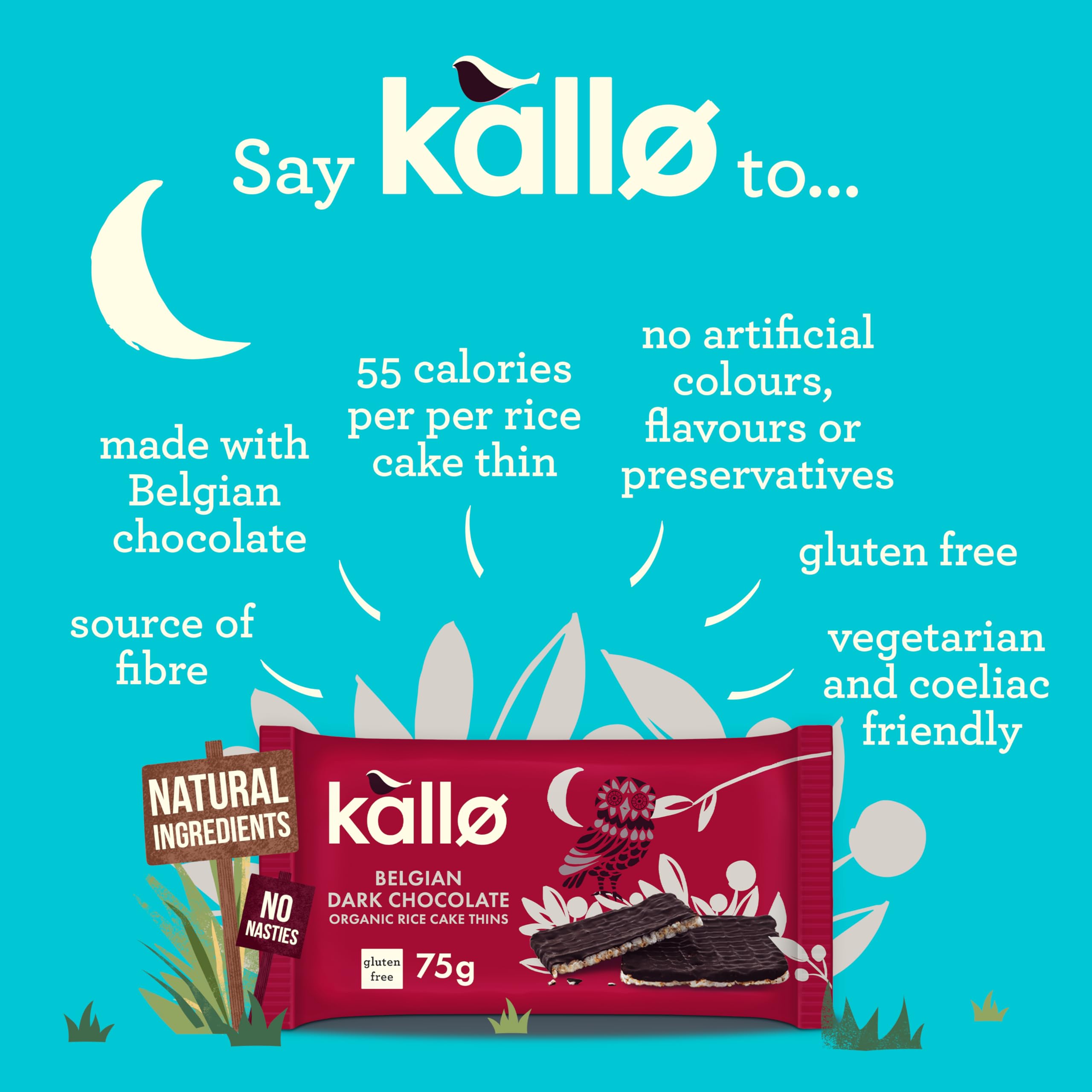 Kallo Organic Rice Cake Thins with Belgian Dark Chocolate | 75g | Gluten Free