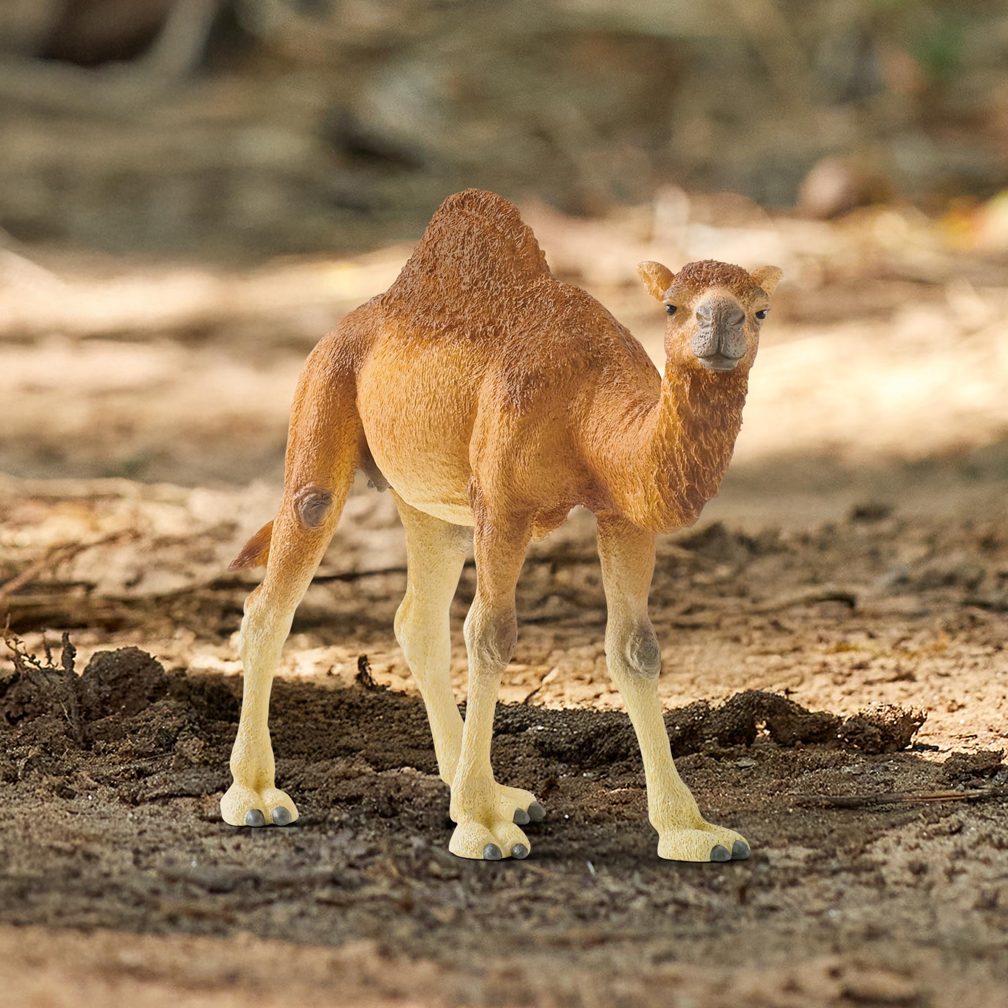 Schleich 14832 Dromedary Wild Life Toy Figurine | Ages 3-8 | Beige/Brown 3
