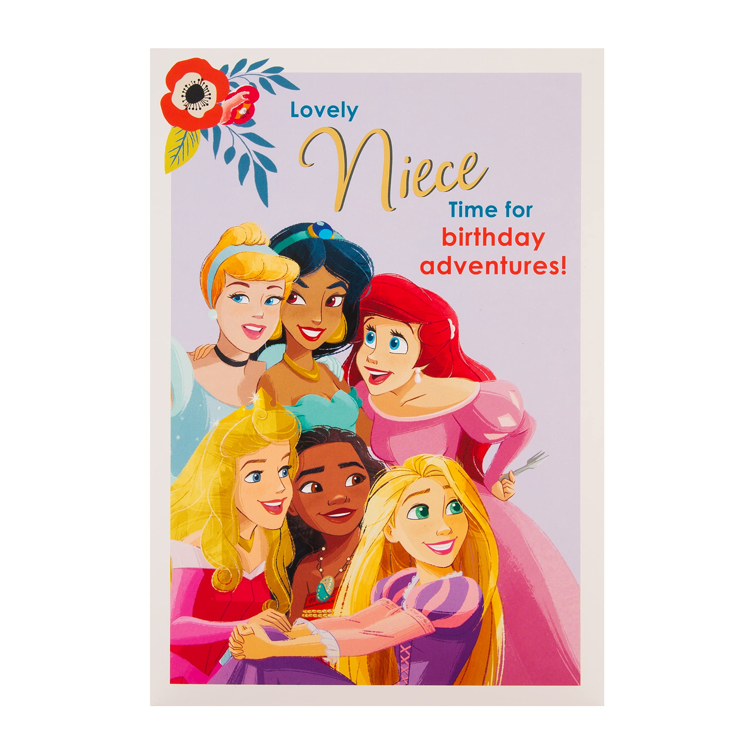 Hallmark Disney Princess Niece Birthday Card with Gold Foil & Sticker Sheet | H22.8cm x W15.9cm 6