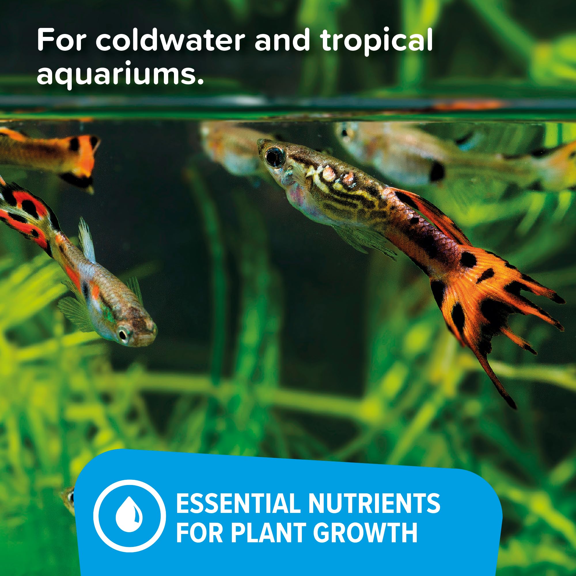 King British Aquatic Plant Food - Nutrient Rich Growth Booster | 100ml Liquid | No Nitrate/Phosphate 4