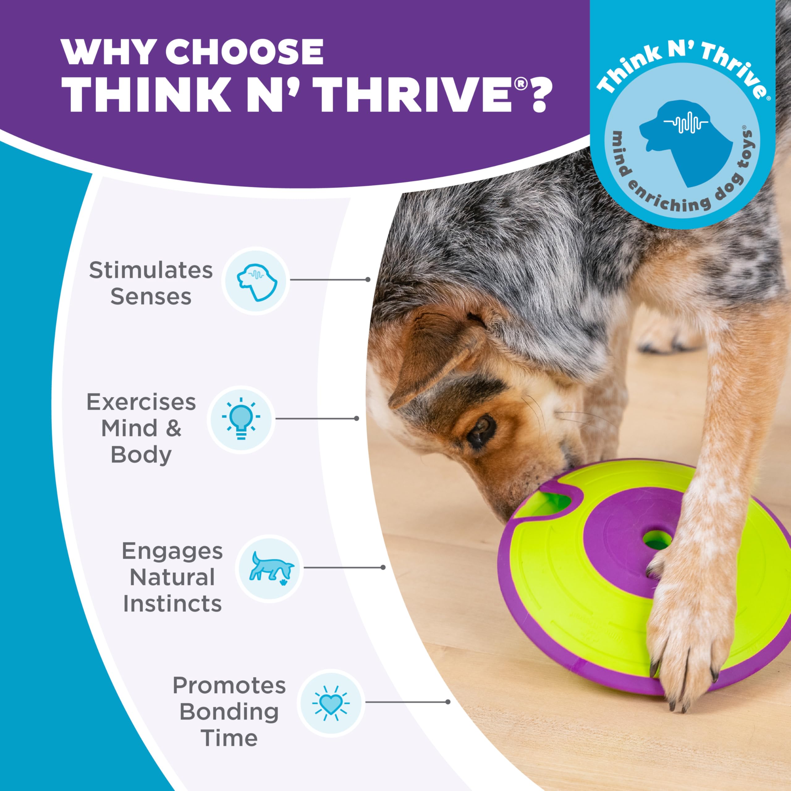 Outward Hound Nina Ottosson Treat Maze Interactive Treat Puzzle Dog Toy, Intermediate Level 2 6