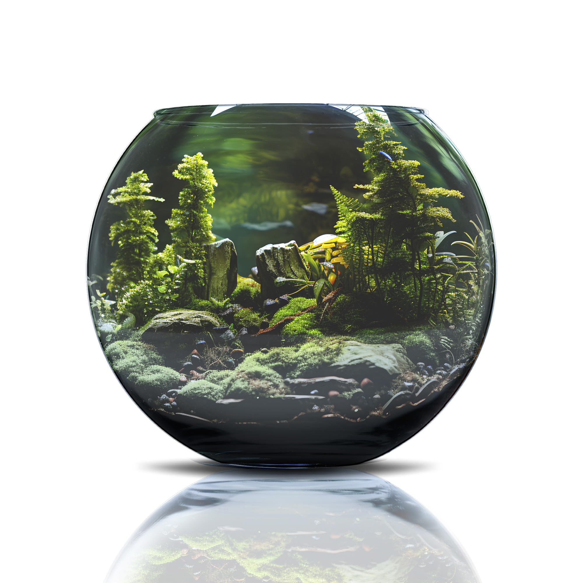 Amtra Crystal Globe Hand-Blown Glass Fishbowl Aquarium | 30 CM Diameter 4