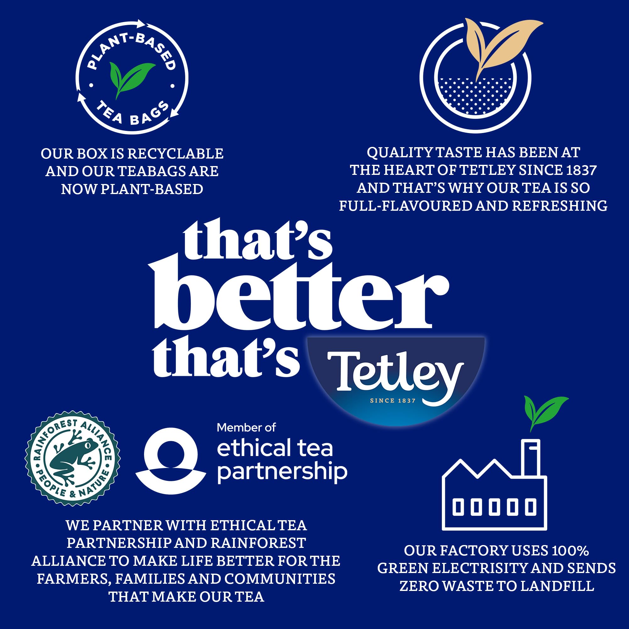 Tetley Original Black Tea Bags - 200 Count Pack | Rainforest Alliance Certified | Smooth Taste 5