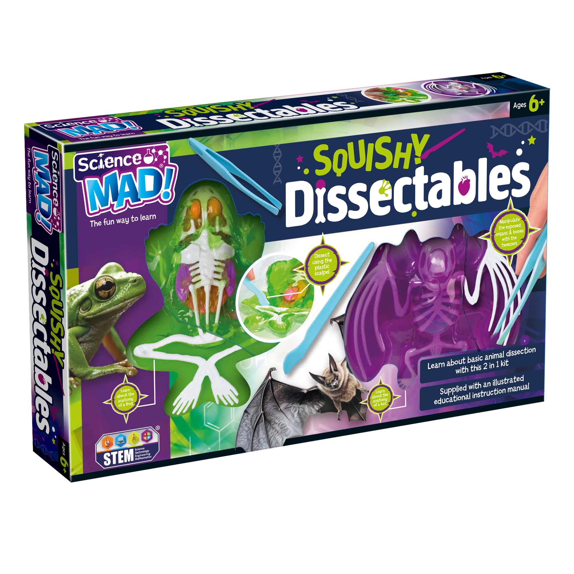 Science Mad Squishy Dissectables 2 Pack - Frog & Bat Anatomy Kit | STEM Learning