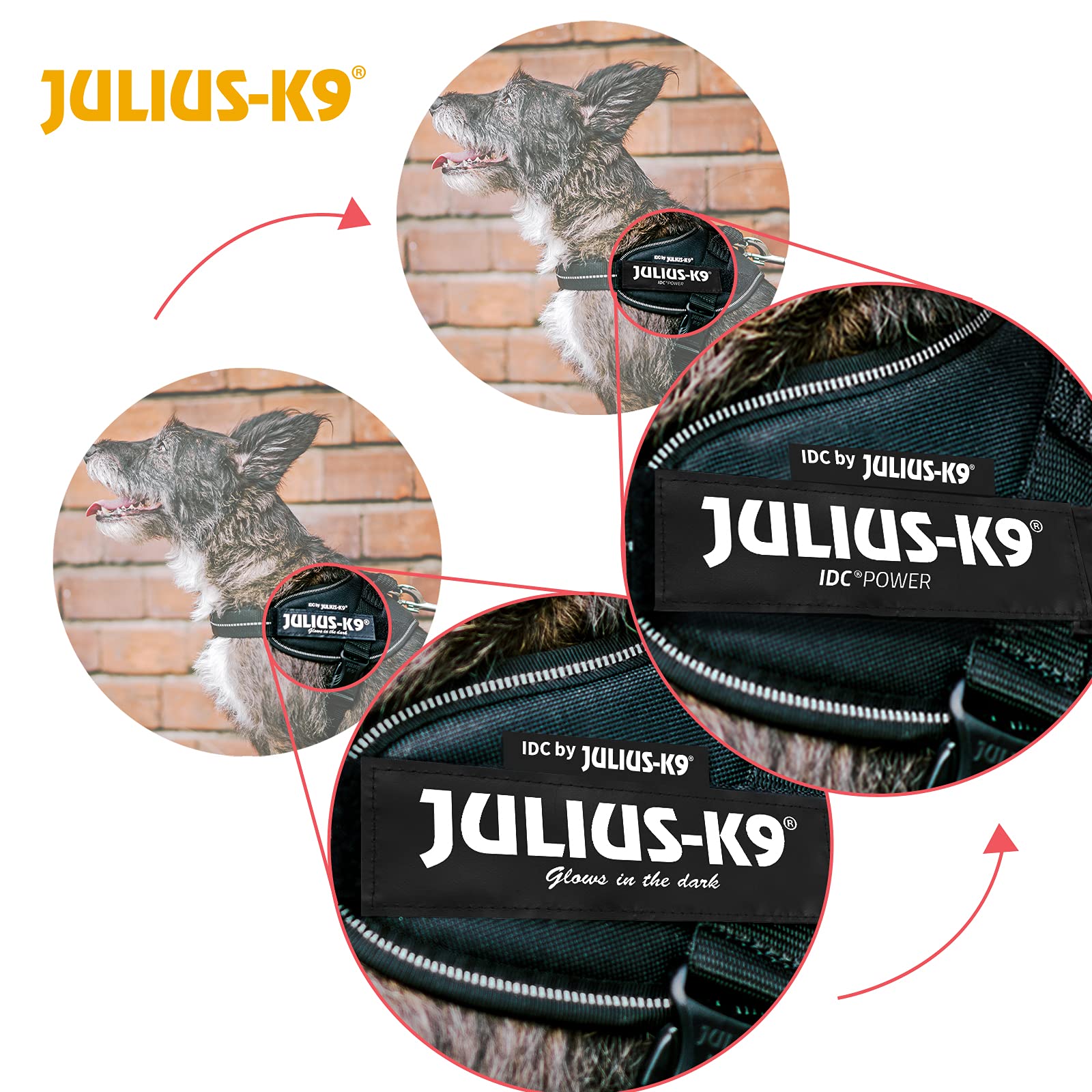 Julius-K9 IDC Power Harness - Vest Style for Dogs | Camouflage | Size XS/Mini-Mini (40-53 cm Chest) 5