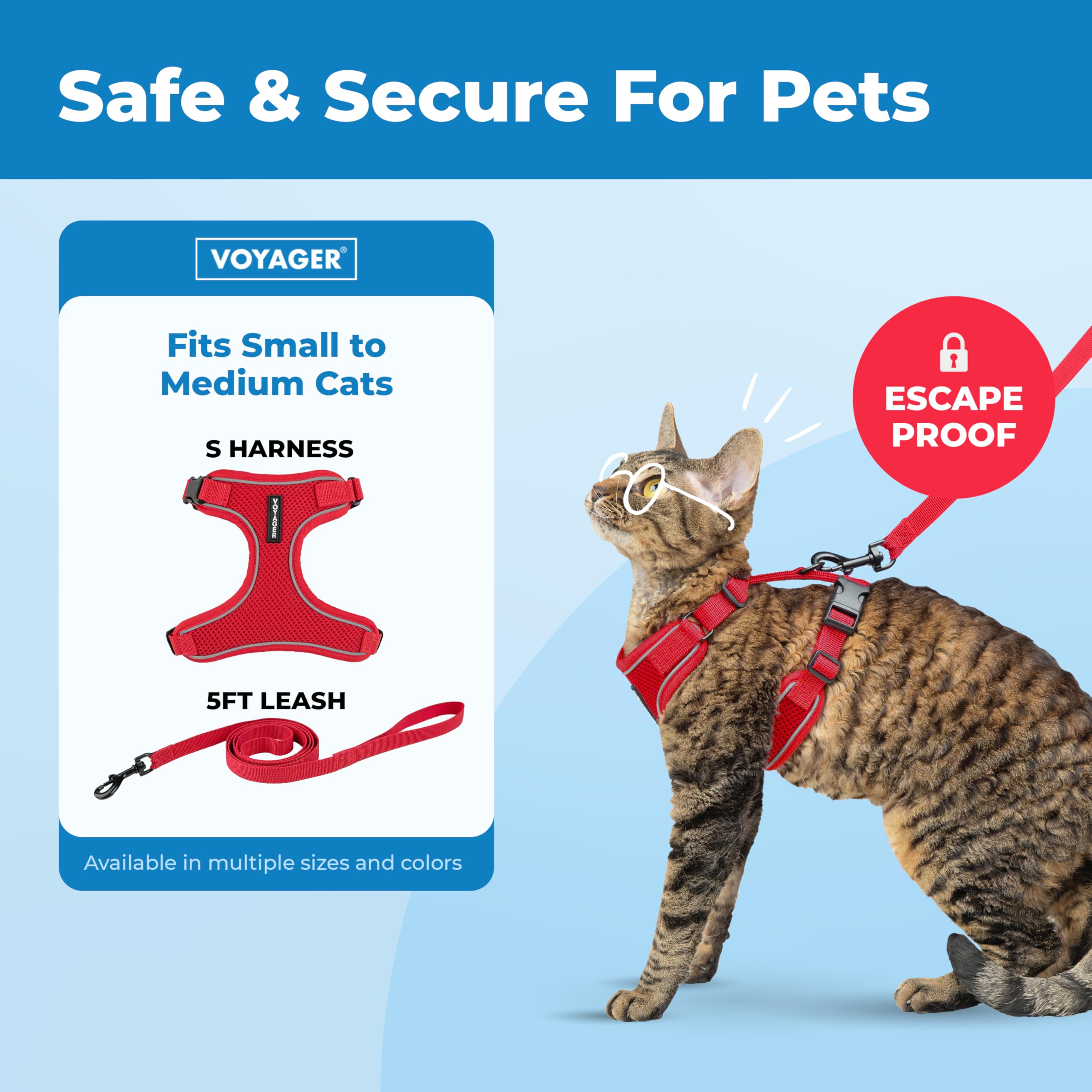 Best Pet Supplies Voyager Escape Proof Cat Harness and Leash Set - Red, Size M (Chest: 16.5-19.5') 2