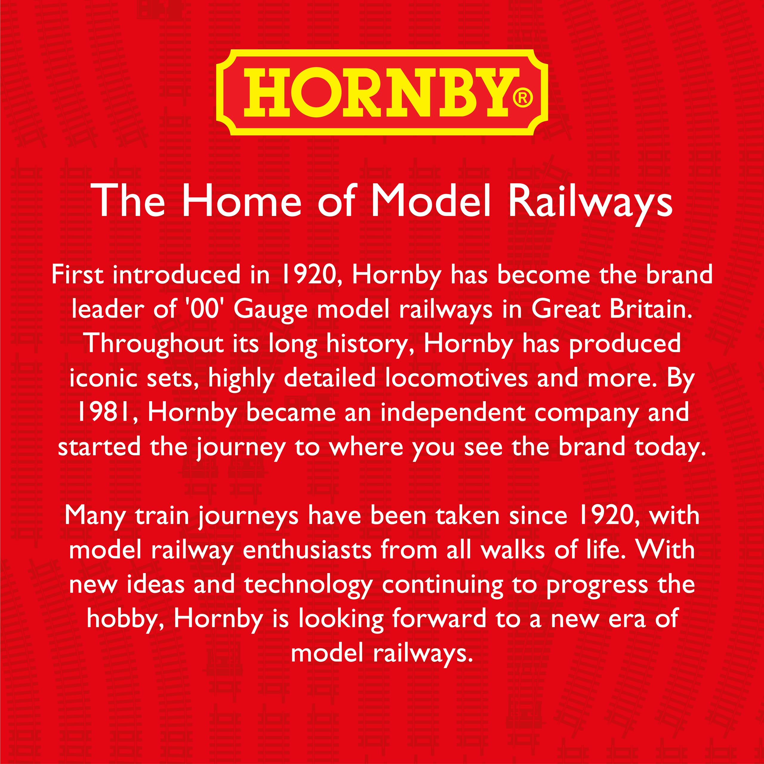 Hornby R8224 OO Gauge Track Extension Pack D – Curves, LH Point, Buffer Stop & Double Level Crossing 9