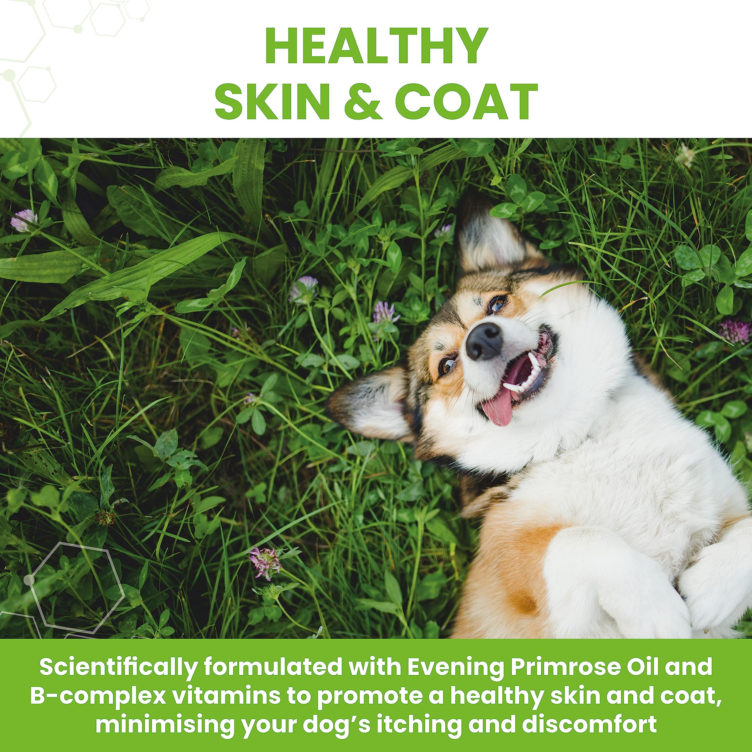 Vetzyme Dry Skin Tablets for Dogs - Itchy Skin Relief with Evening Primrose Oil | 30 Tablets 3
