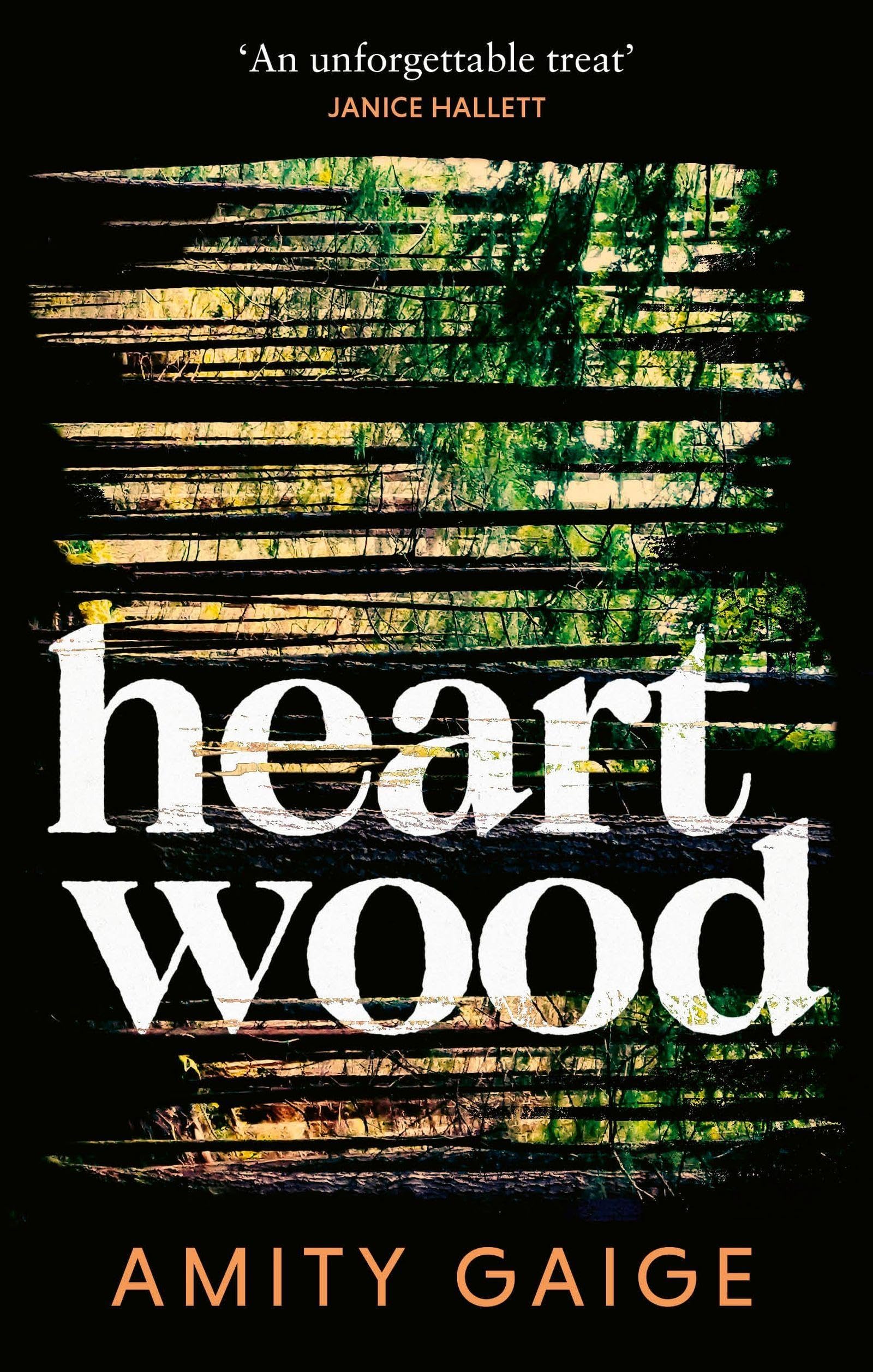 Fleet Heartwood by Amity Gaige | Mystery, Thriller & Suspense Paperback