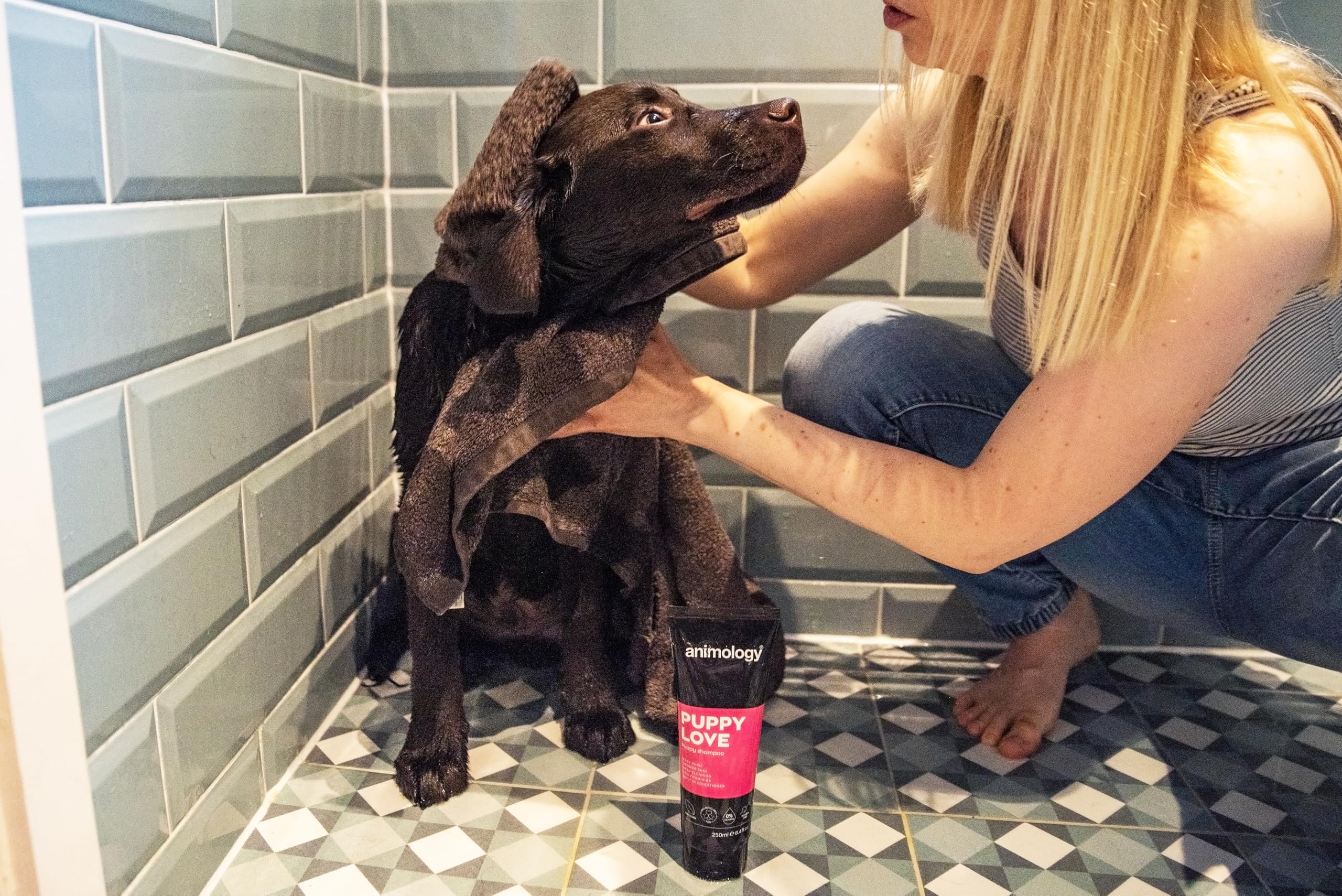 Animology Puppy Love Mild Dog Shampoo - pH Balanced, Pro-Vitamin B5, 250 ml 6