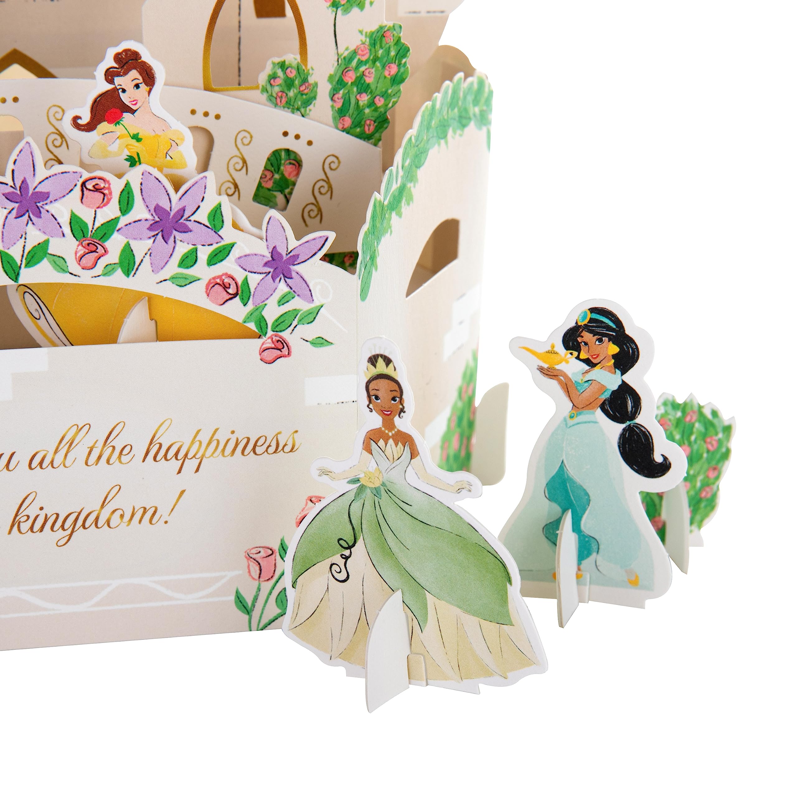 Hallmark Disney Princesses 3D Pop Up Birthday Card for Girls | FSC Certified | Large Letter Size 3